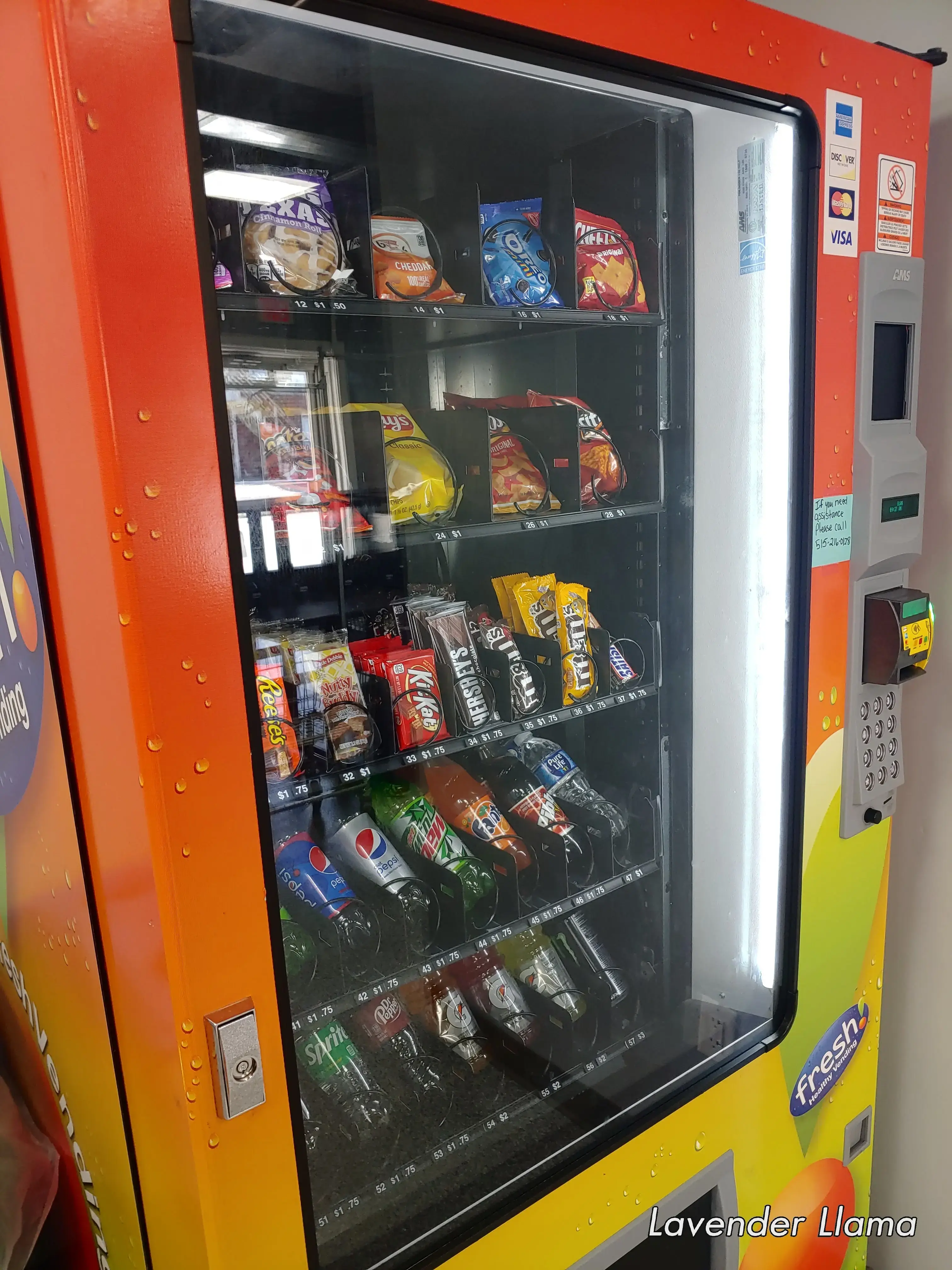 Sparkly Clean Laundromat - Image 14
