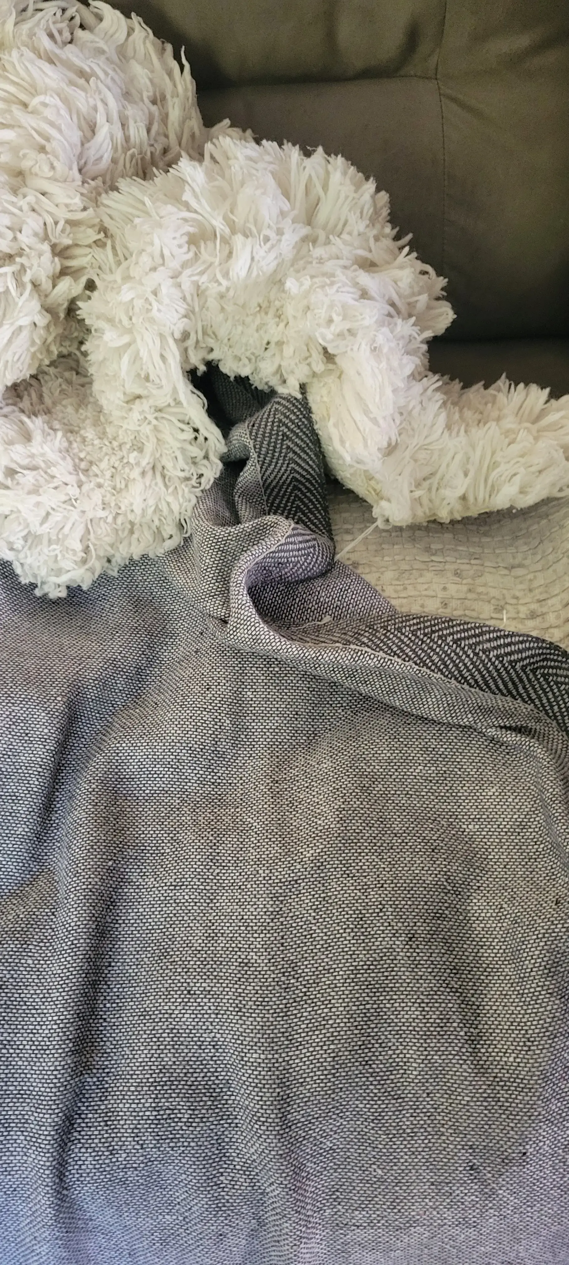 Spearfish Laundry & Dry Cleaning thumbnail 12