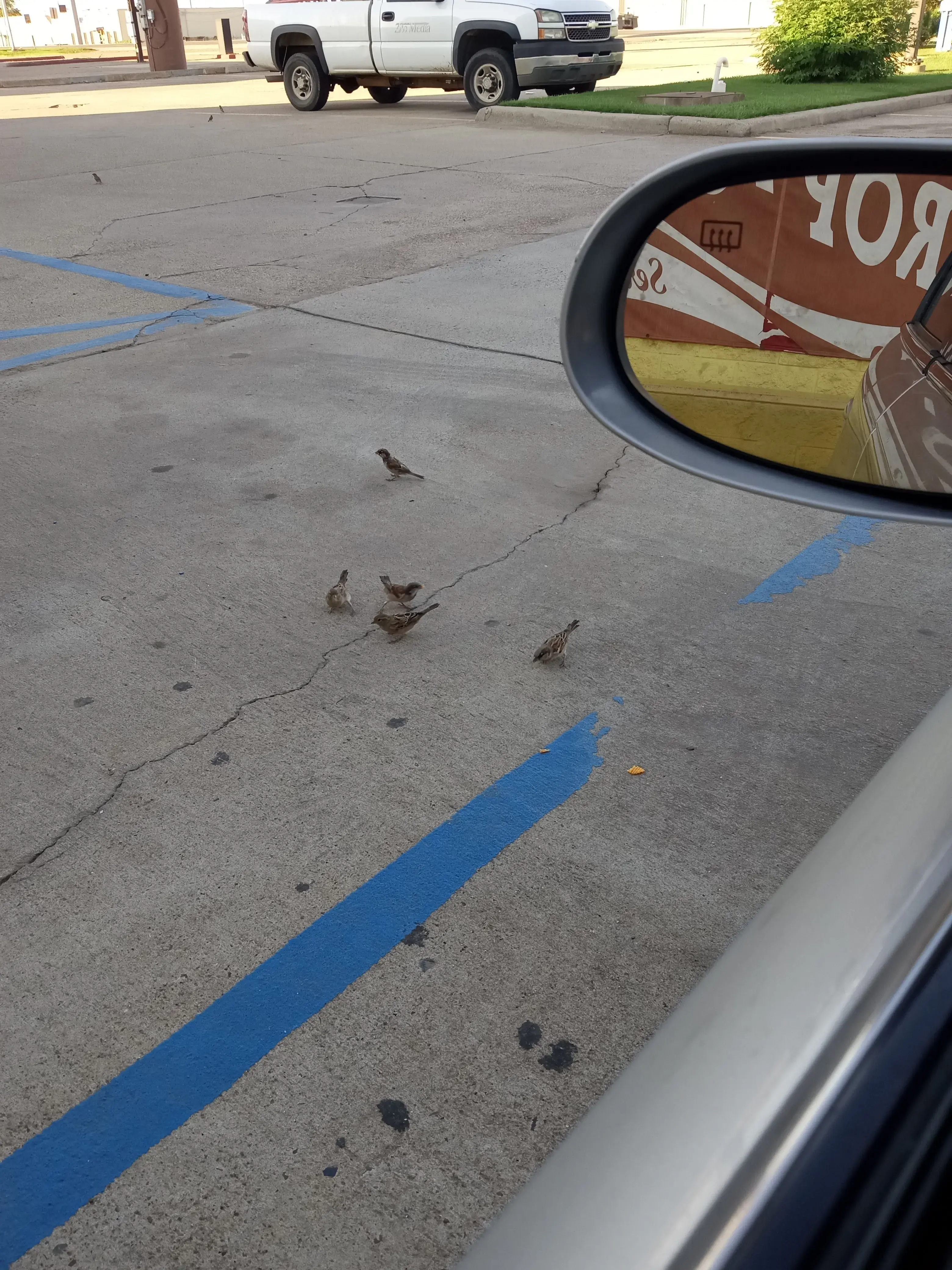 Speed Brite Supercenter Laundromat - Image 8