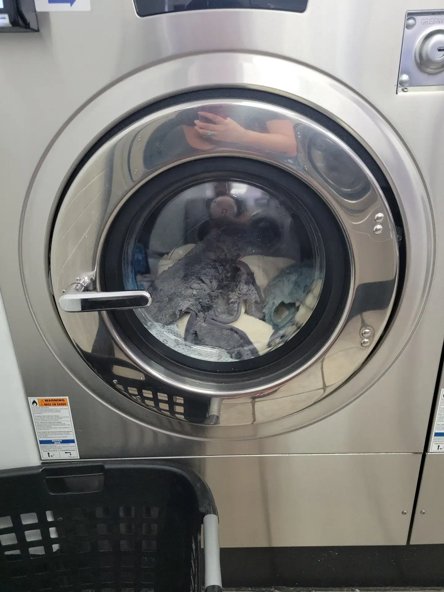 Speed Kleen Laundromat thumbnail 5