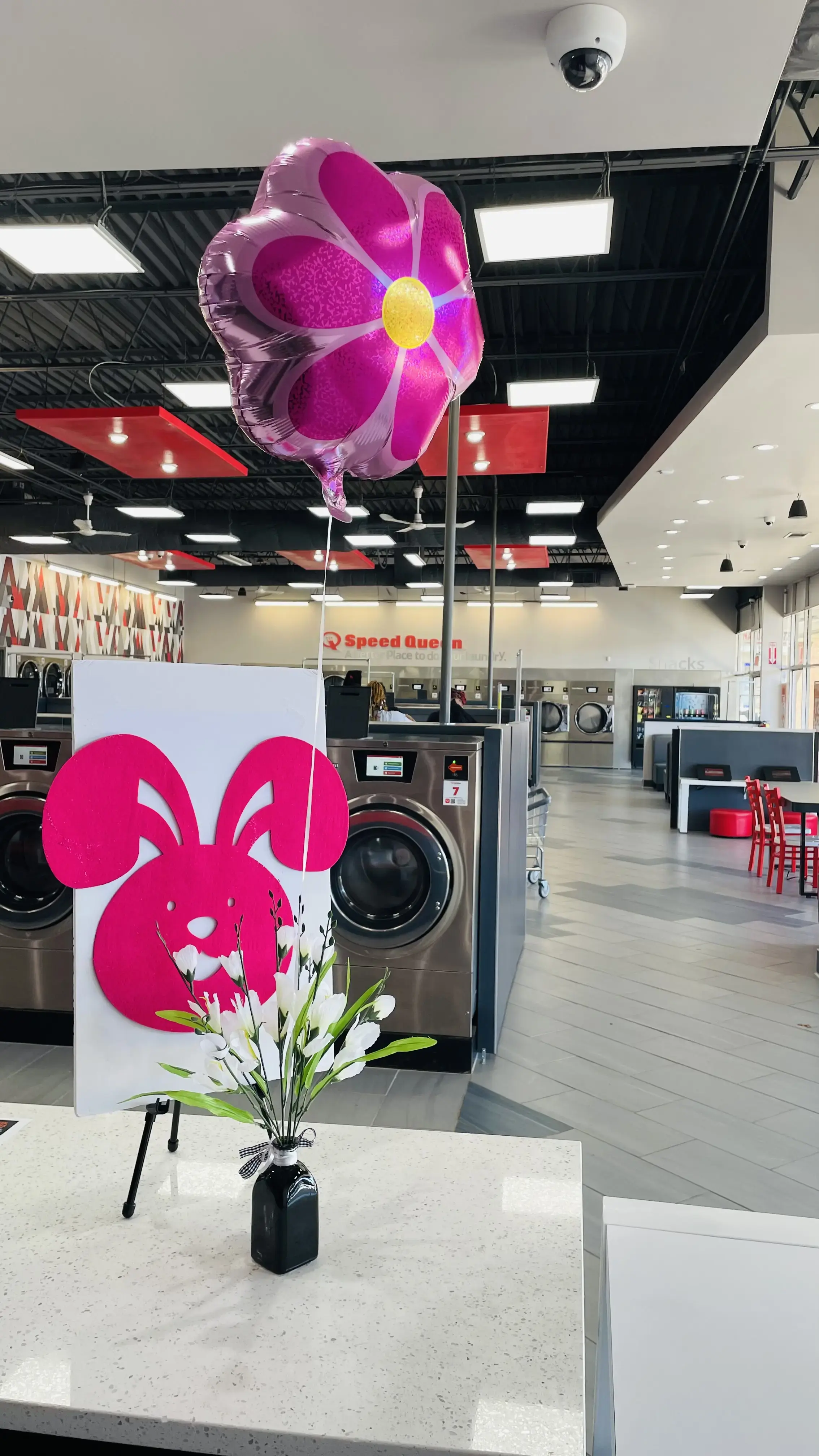 Speed Queen Laundry - Image 18