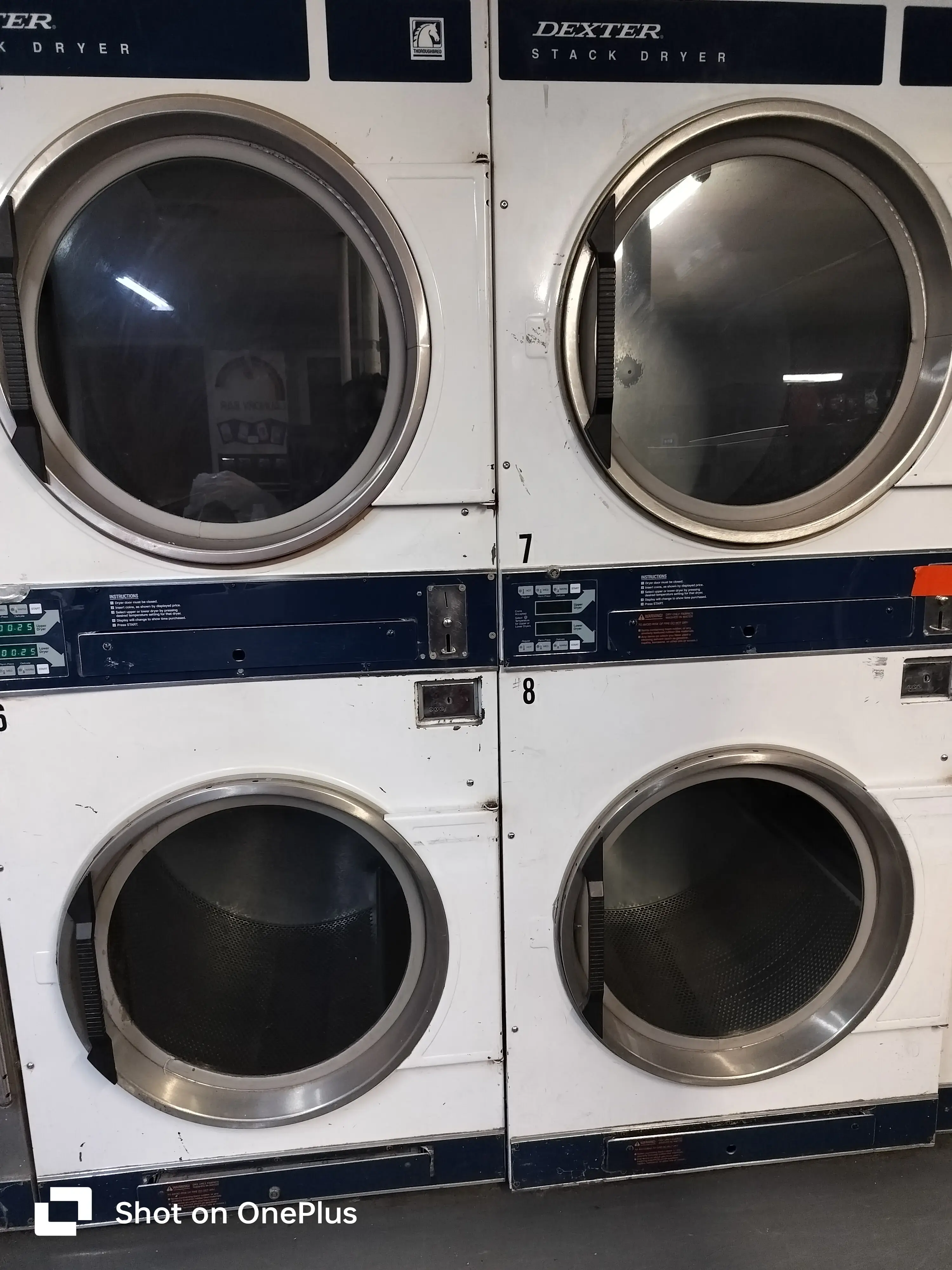 Speedo Mat Laundry thumbnail 3