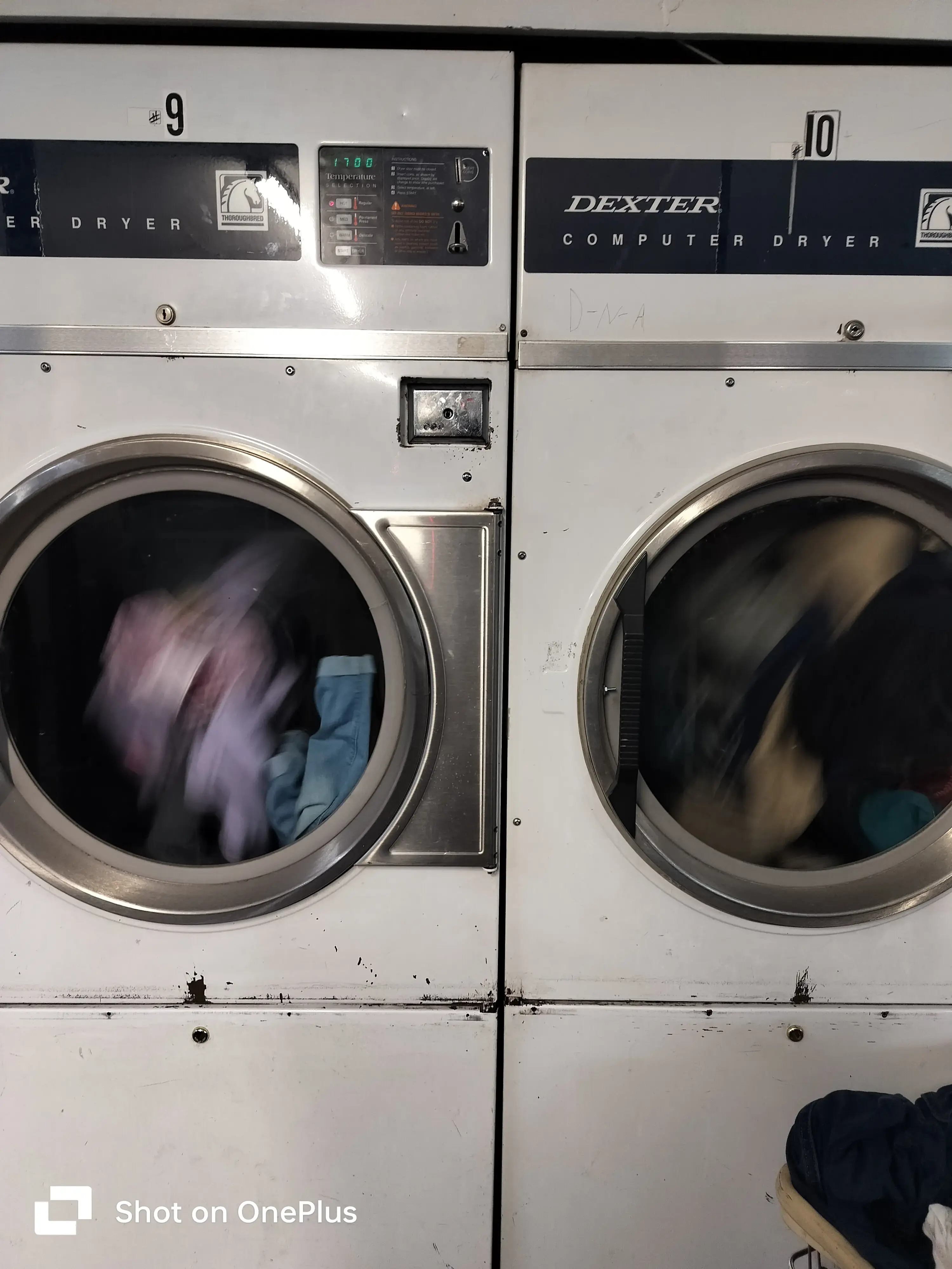 Speedo Mat Laundry thumbnail 6