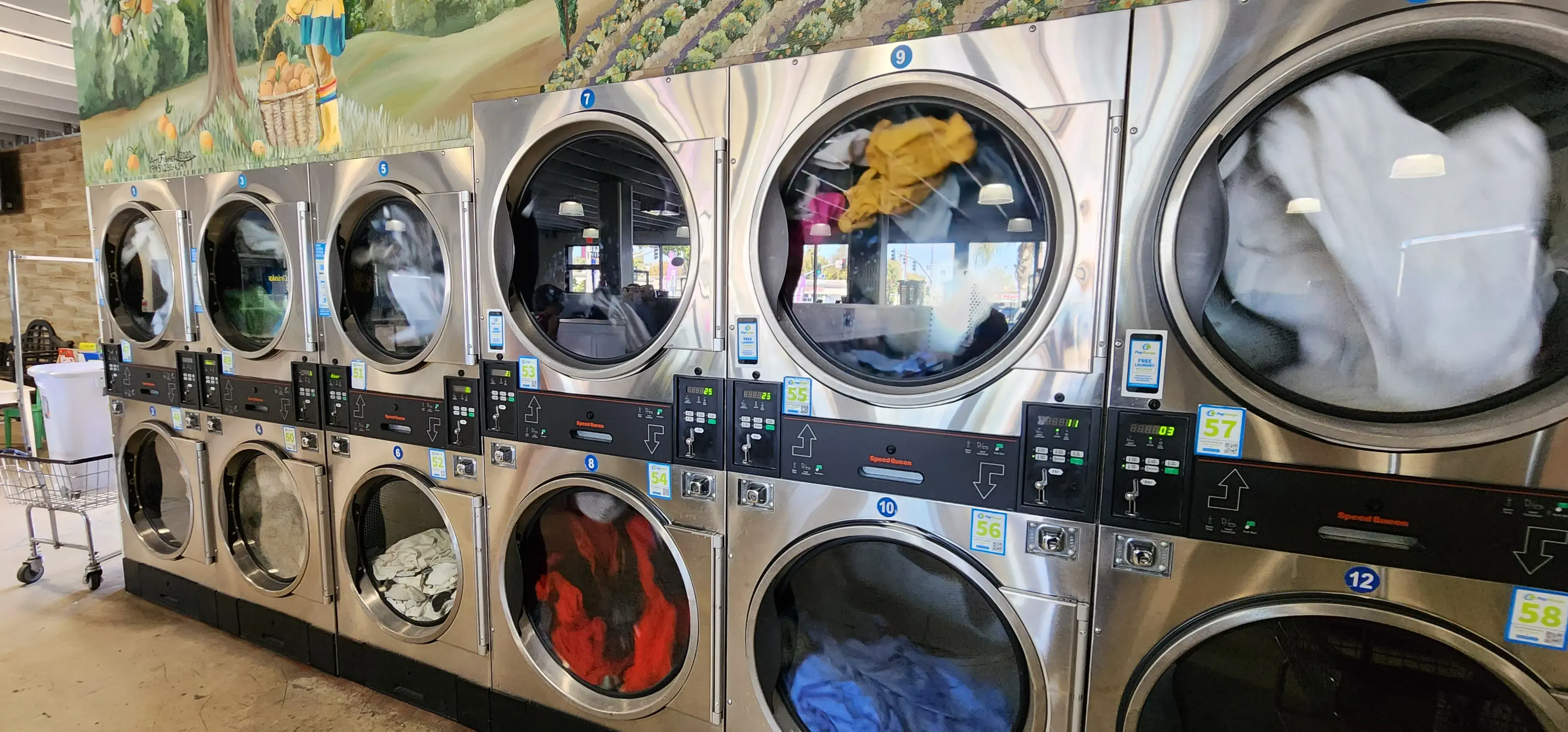 Speedwash Laundromat and Water Store thumbnail 18