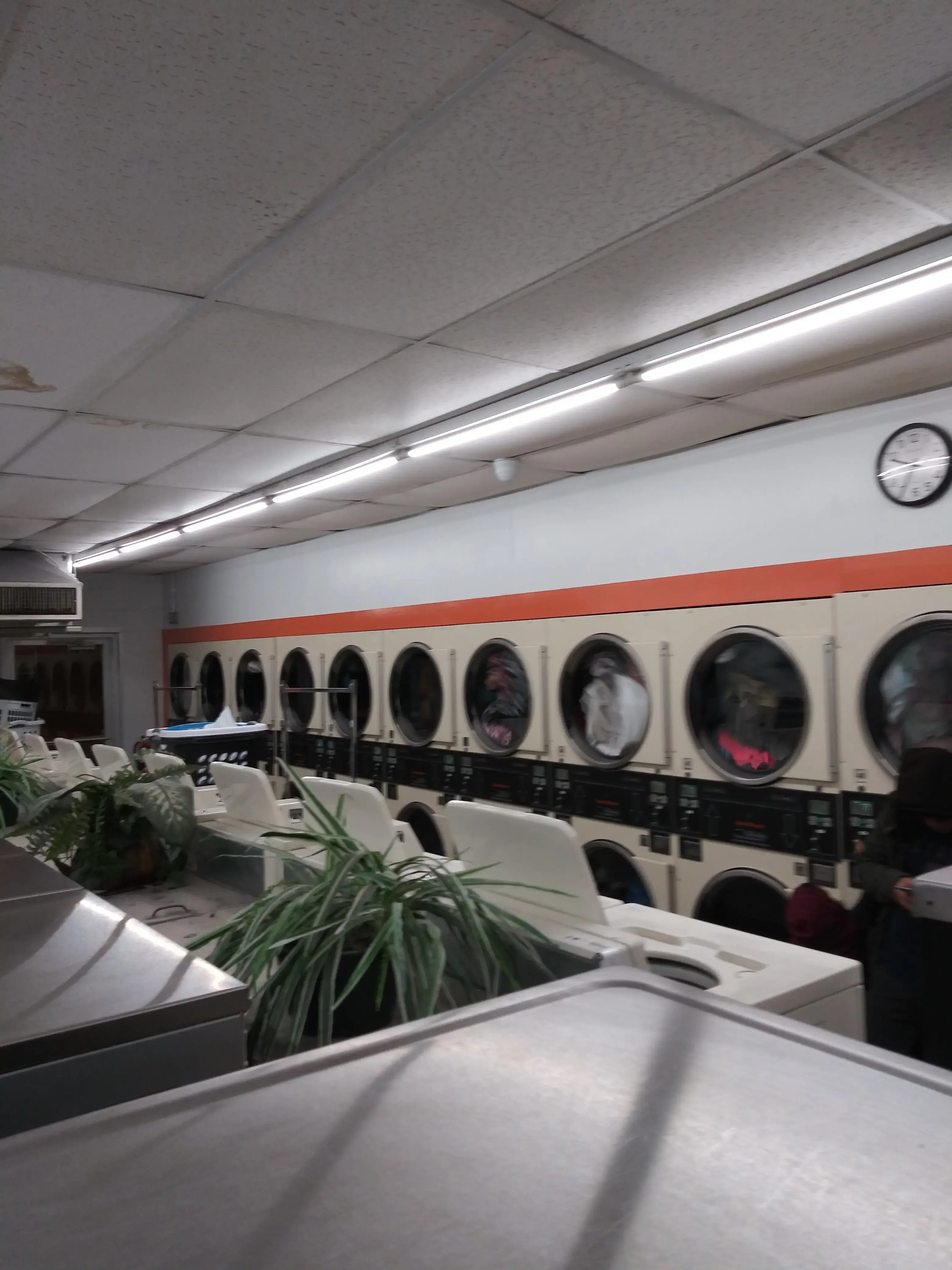 Speedy Wash Coin Laundry Florence thumbnail 9