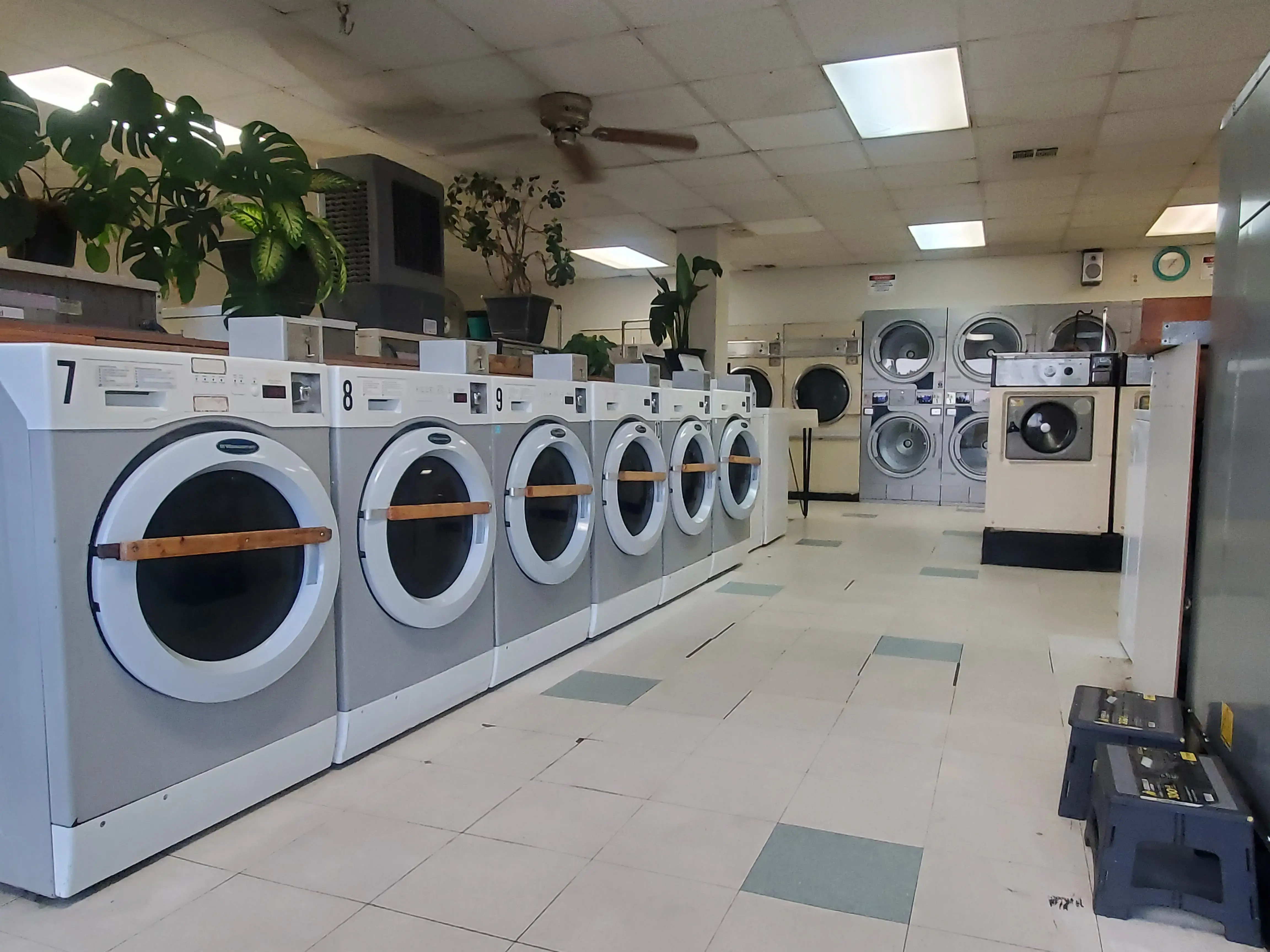Spin 360 Laundry - Image 4