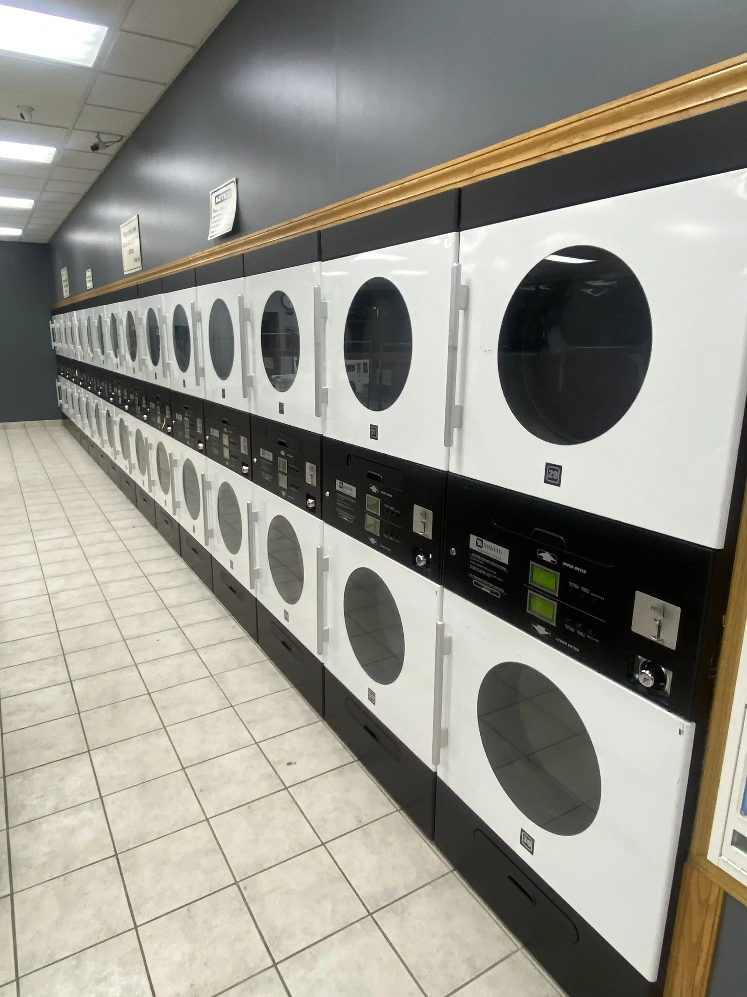 Spin City Coin Laundromat thumbnail 2
