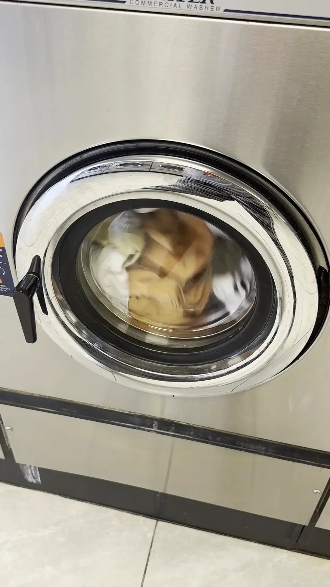 Spin City Coin Laundry thumbnail 4