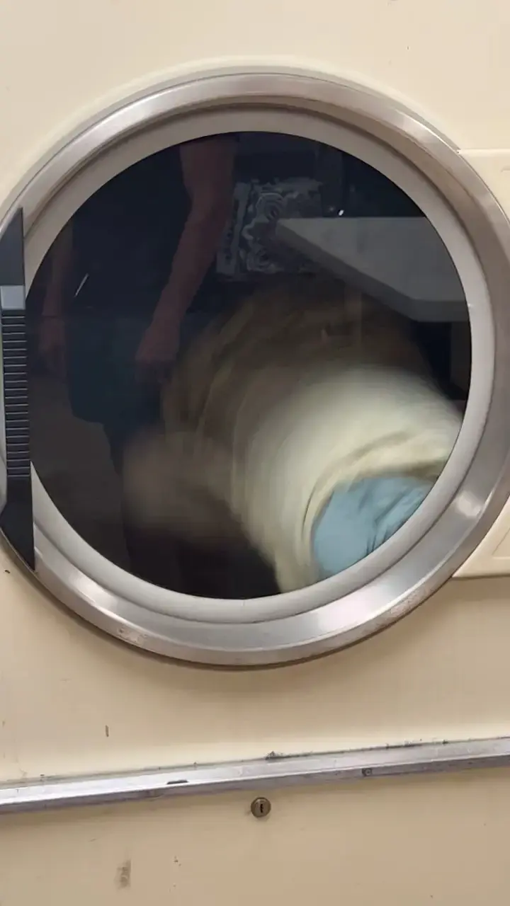 Spin City Coin Laundry thumbnail 2