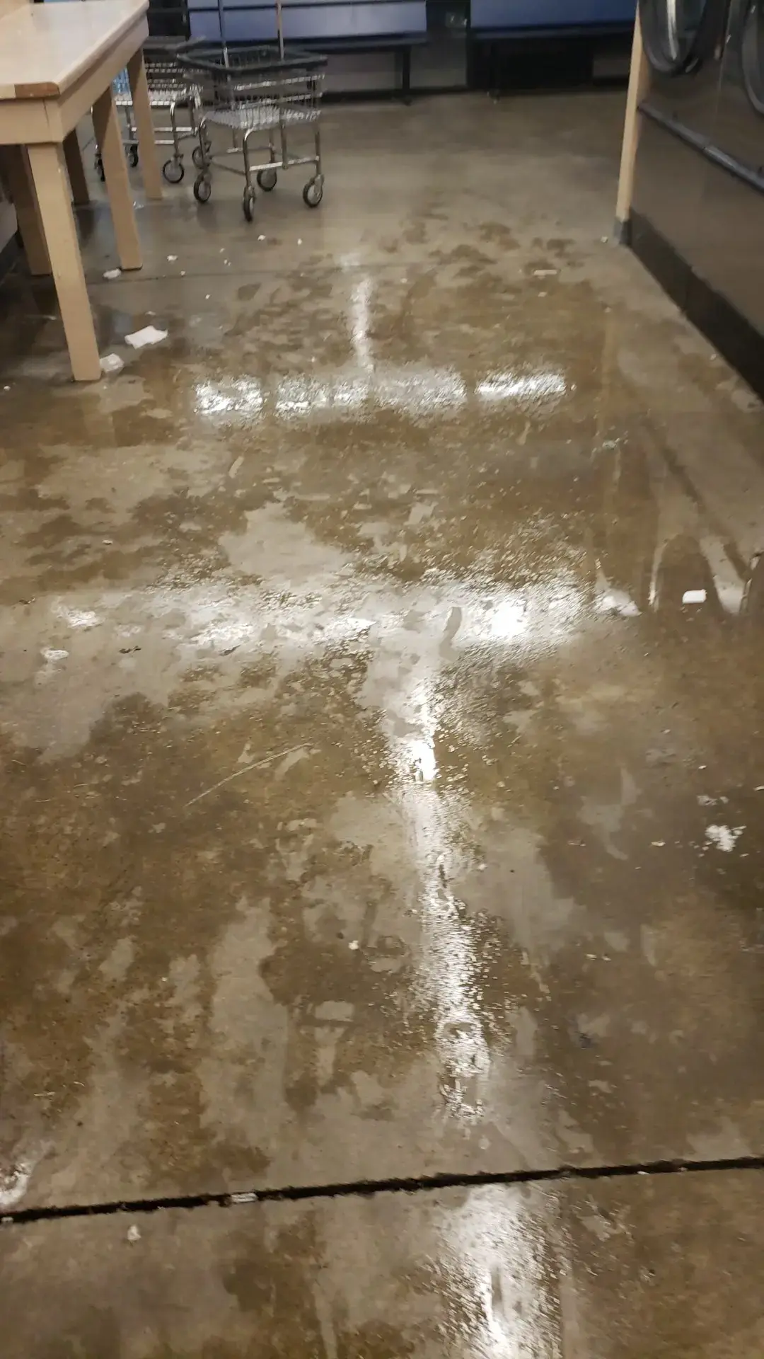 Spin City Laundromat - Image 19