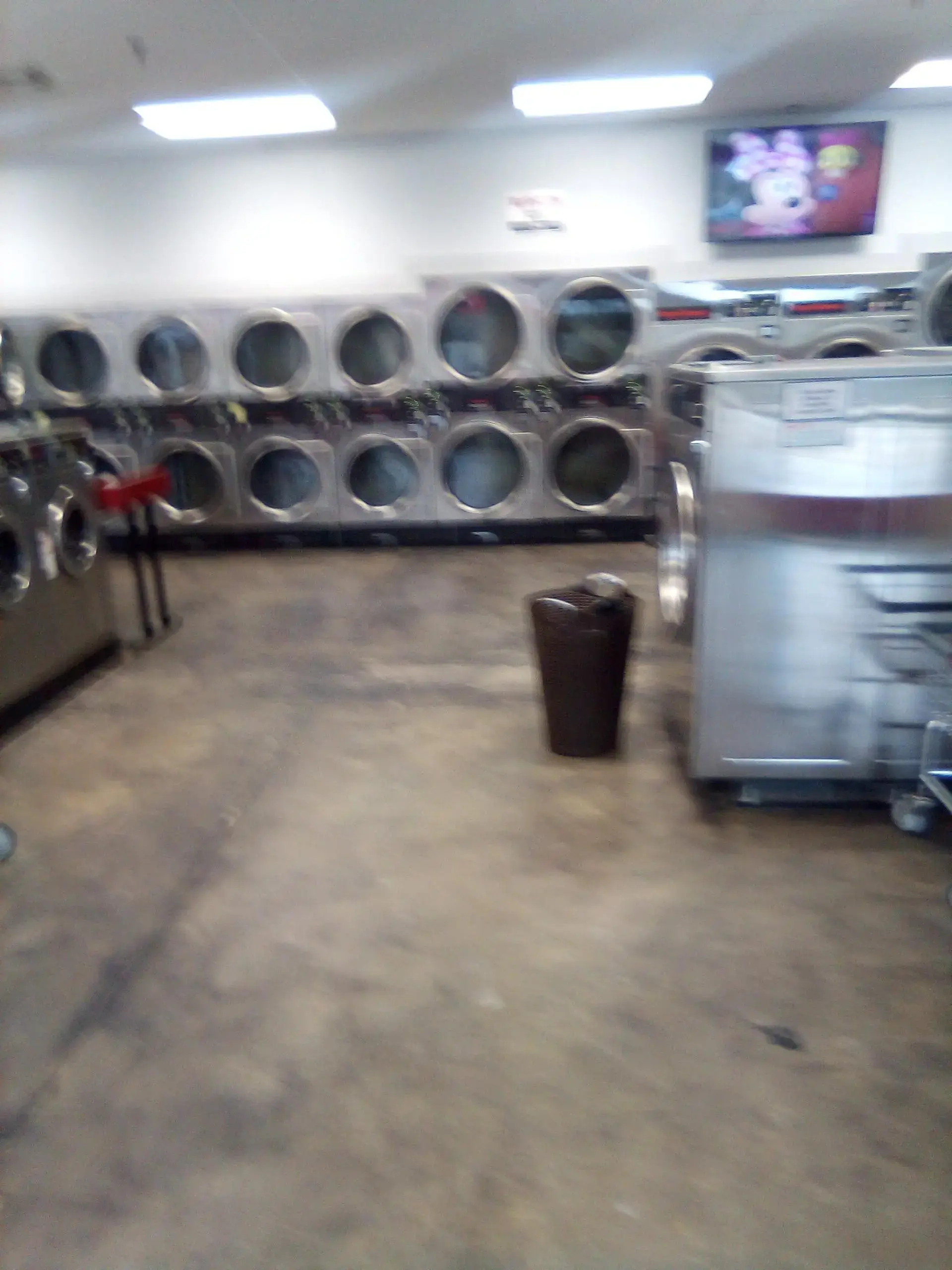 Spin City Laundromat - Image 8