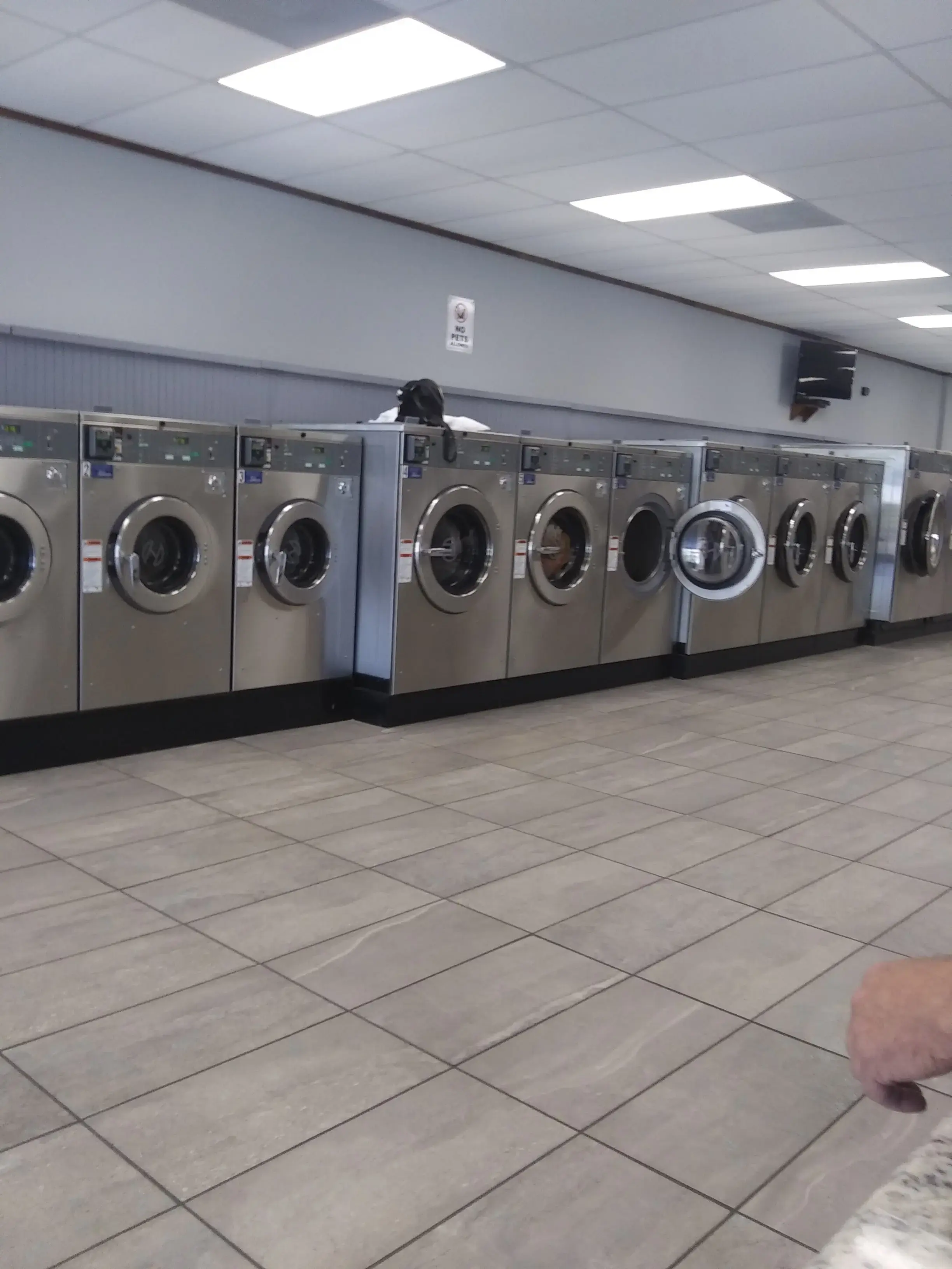 Spin City Laundry thumbnail 17