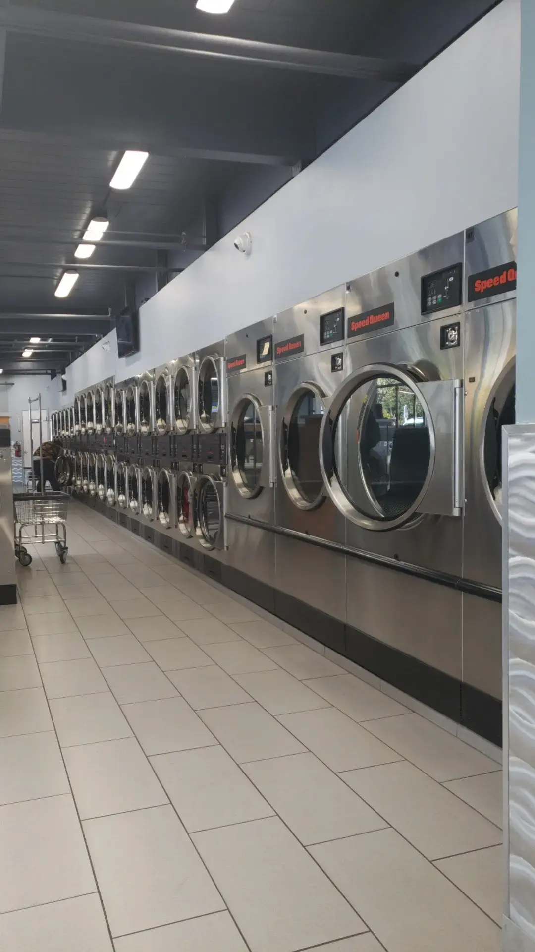Spin Cycle - Image 15