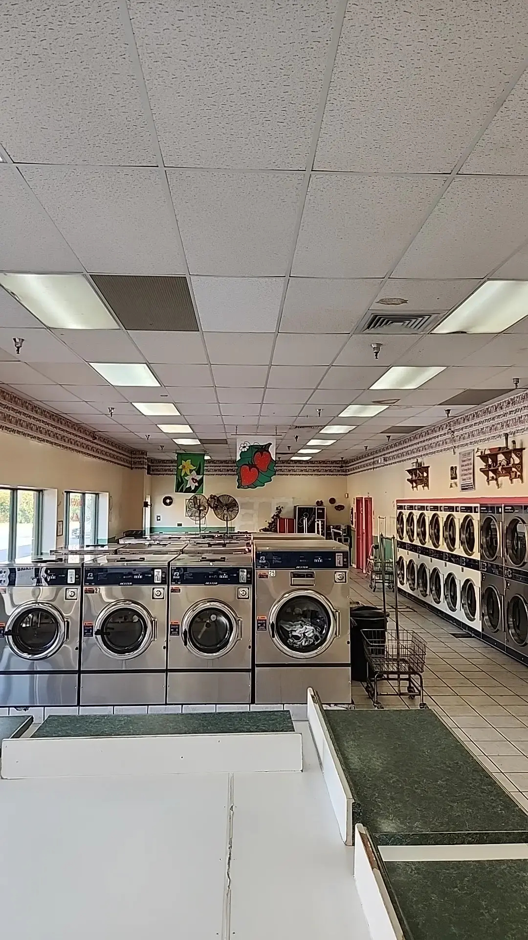 Spin Master Laundry thumbnail 1