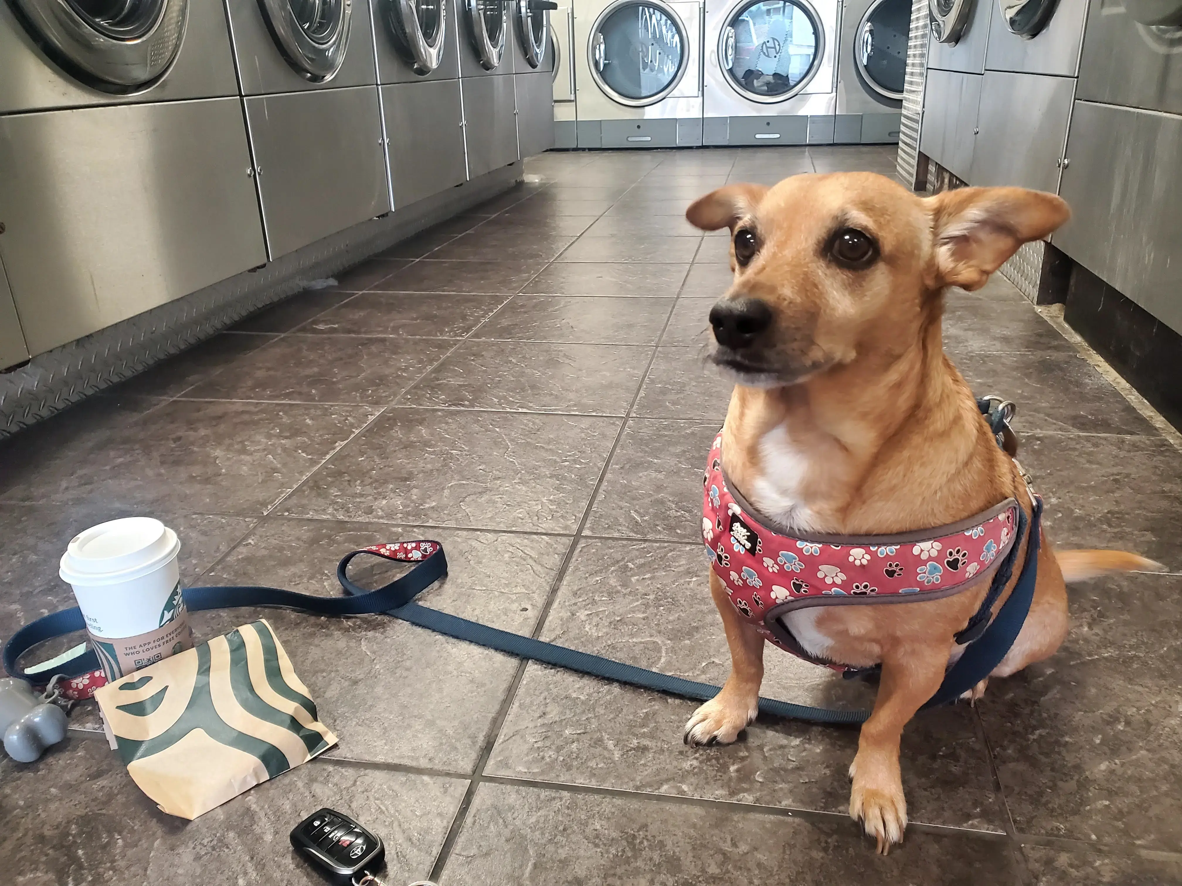 Spin Spa Coin Laundry - Image 2