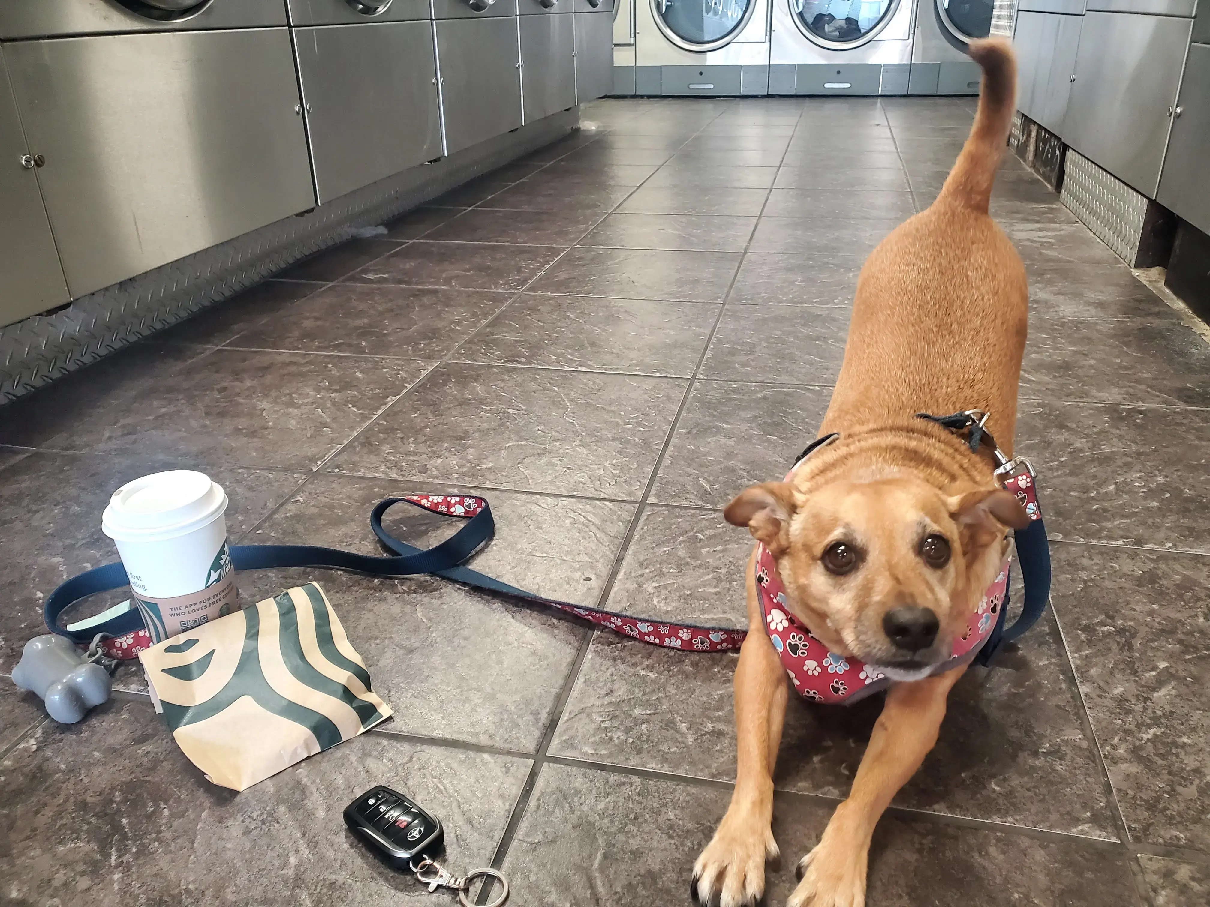 Spin Spa Coin Laundry thumbnail 14