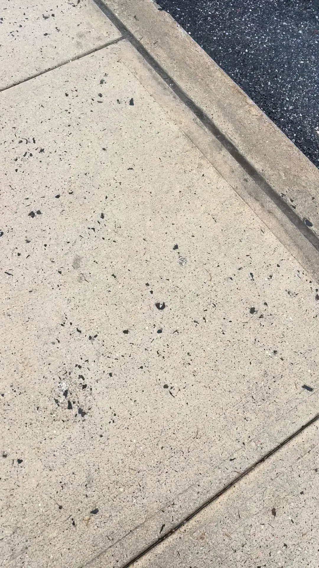 Spin Sudz Laundry Service thumbnail 2