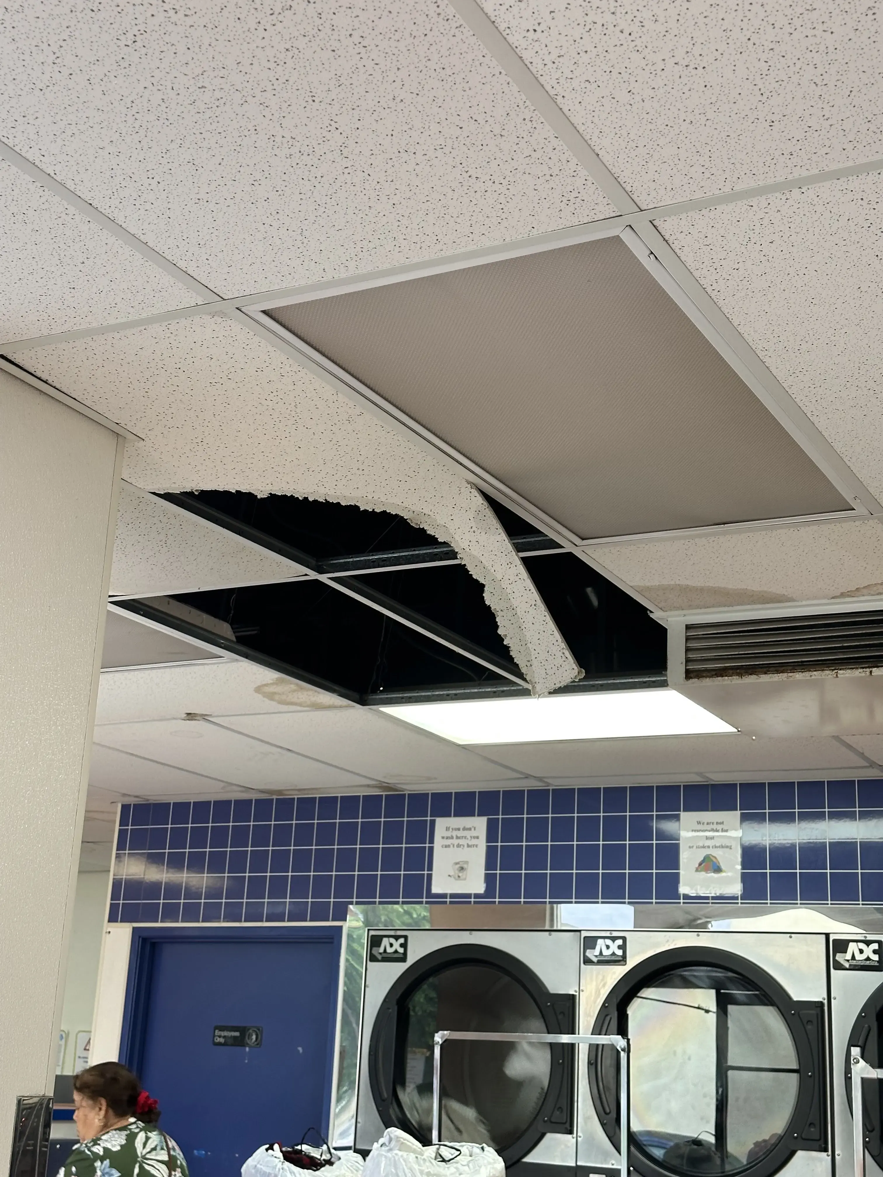SpinCycle Laundromat thumbnail 11