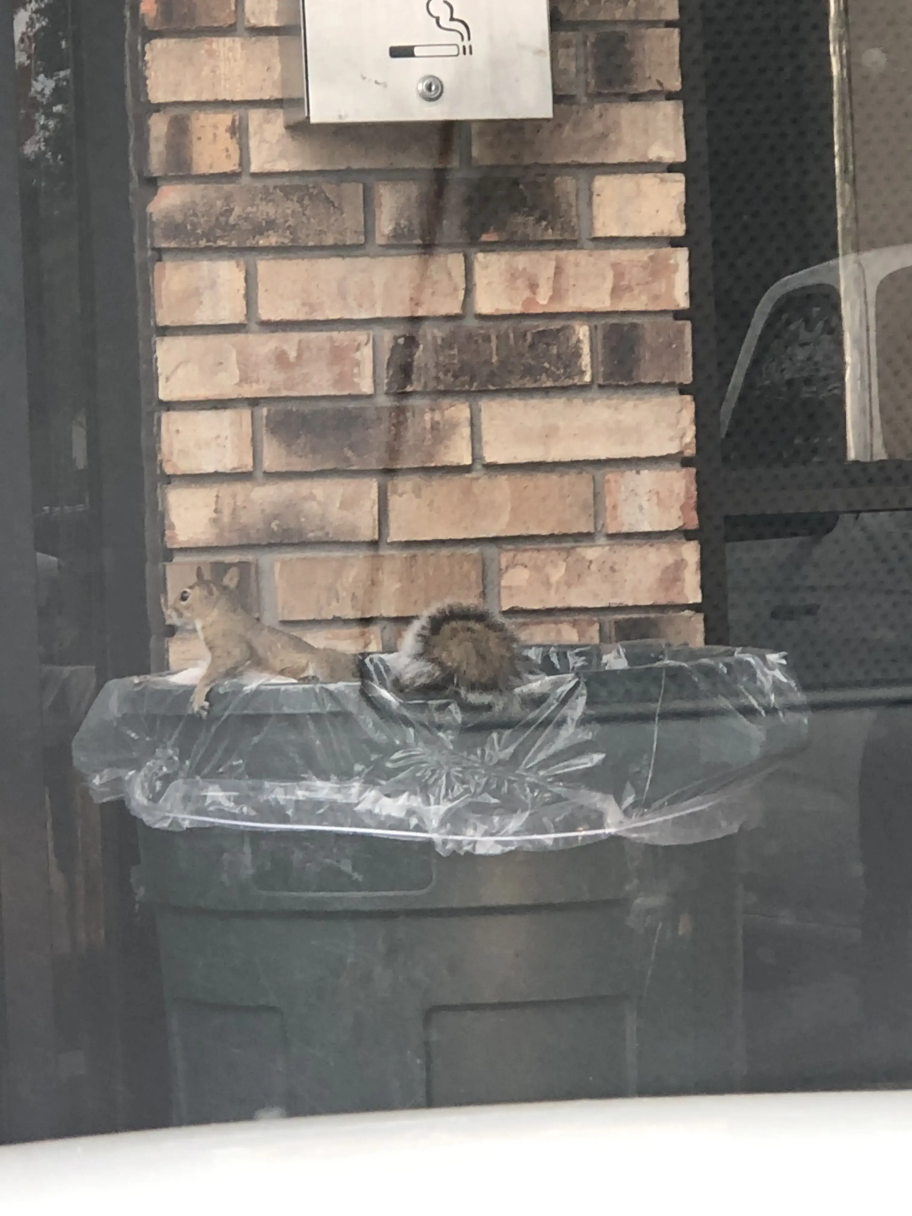 Spins Laundromat - Image 18