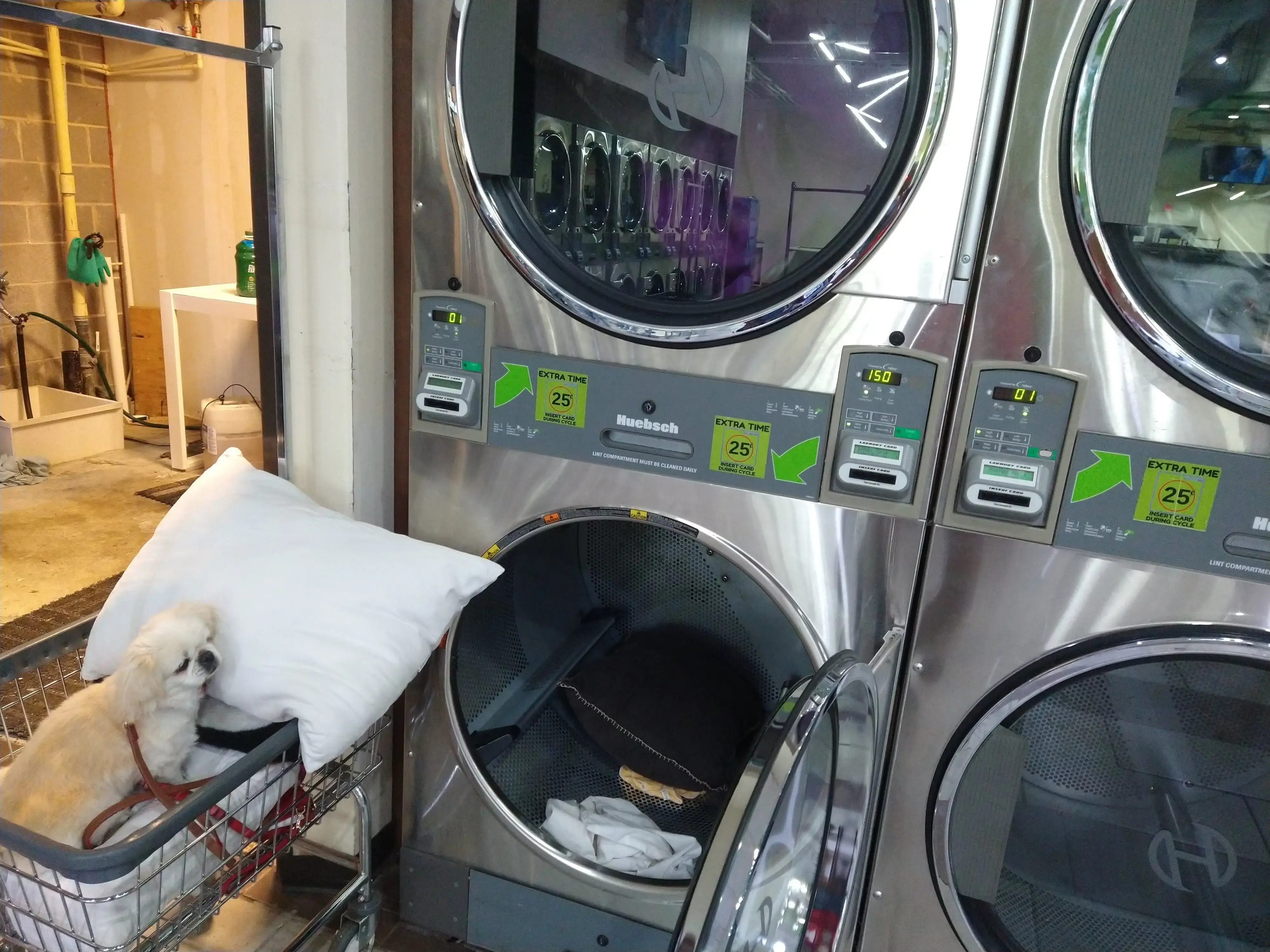 SpinXpress Laundry - General McMullen - Wash & Fold Services - Image 19