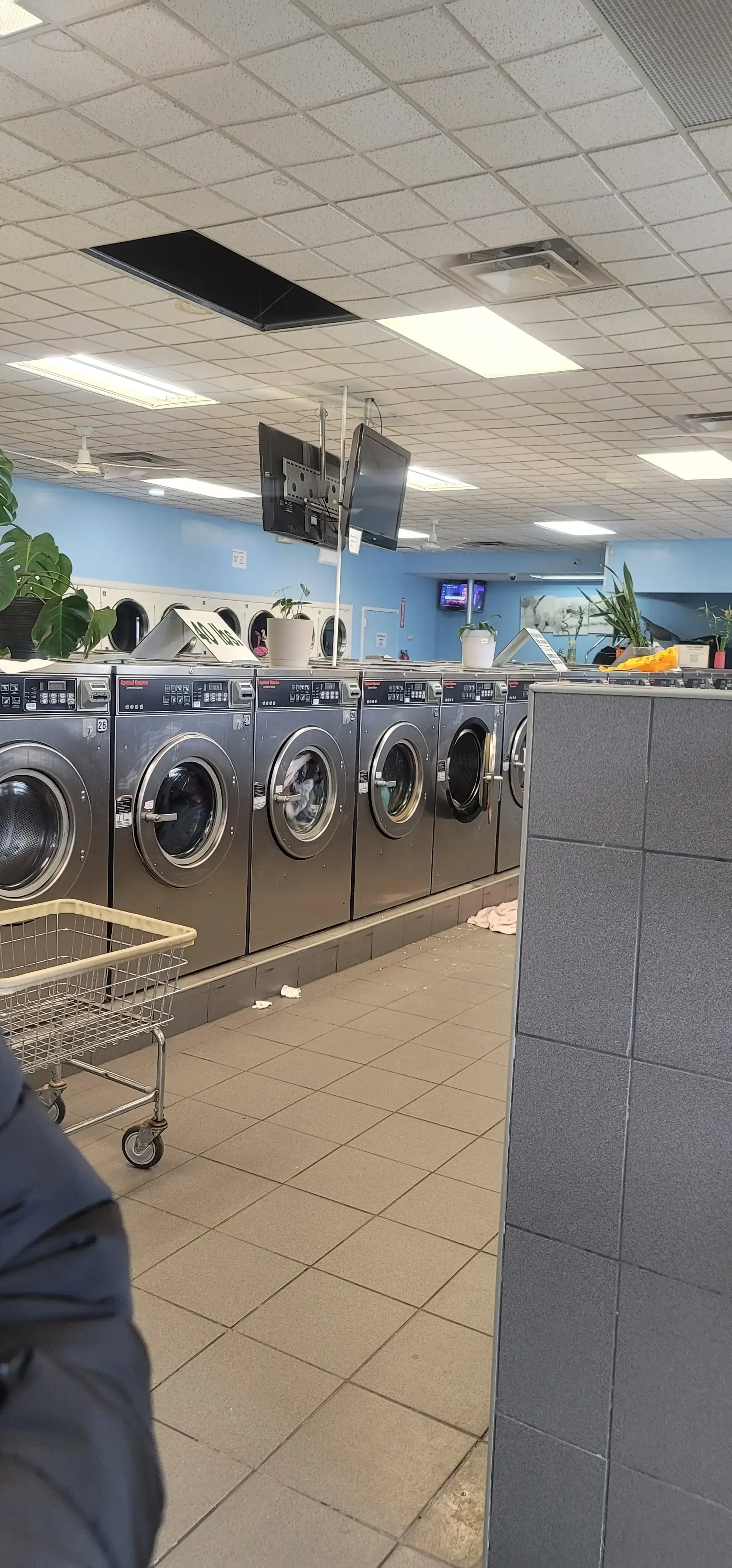 Splash Laundromat thumbnail 14