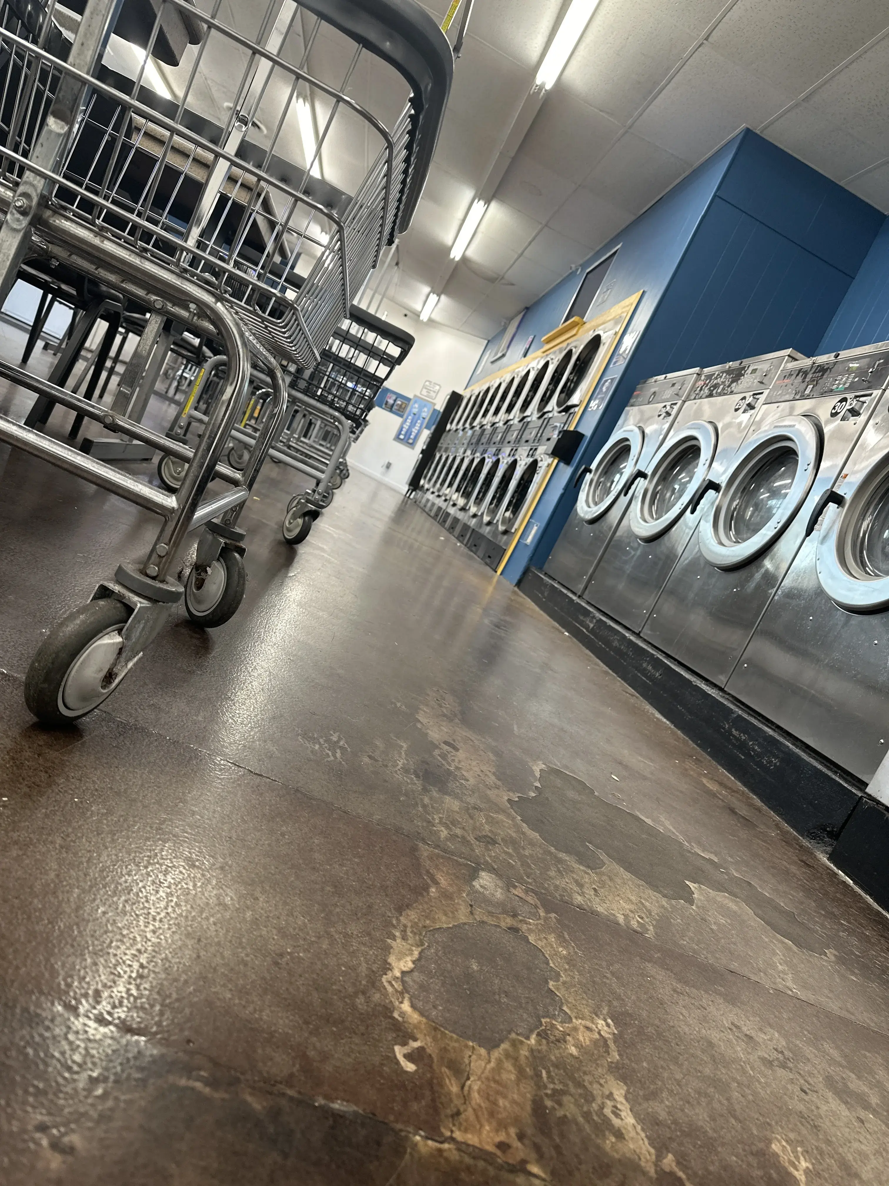 Splash Laundry thumbnail 15