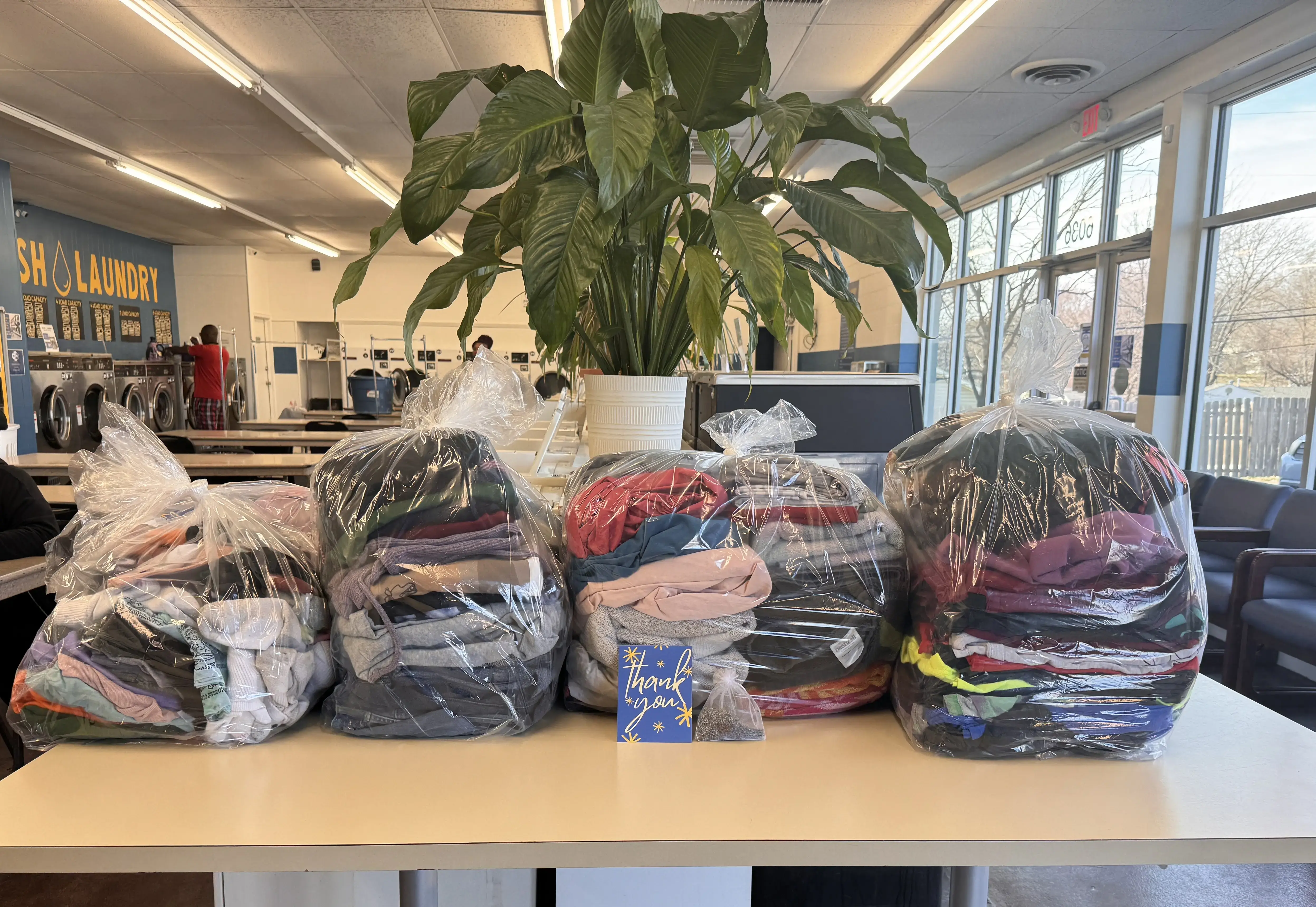 Splash Laundry - Image 9