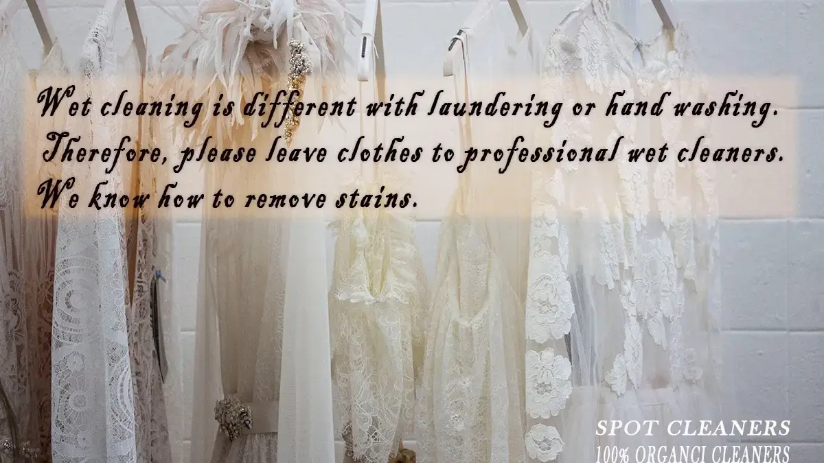 Spot Cleaners LLC - Image 1
