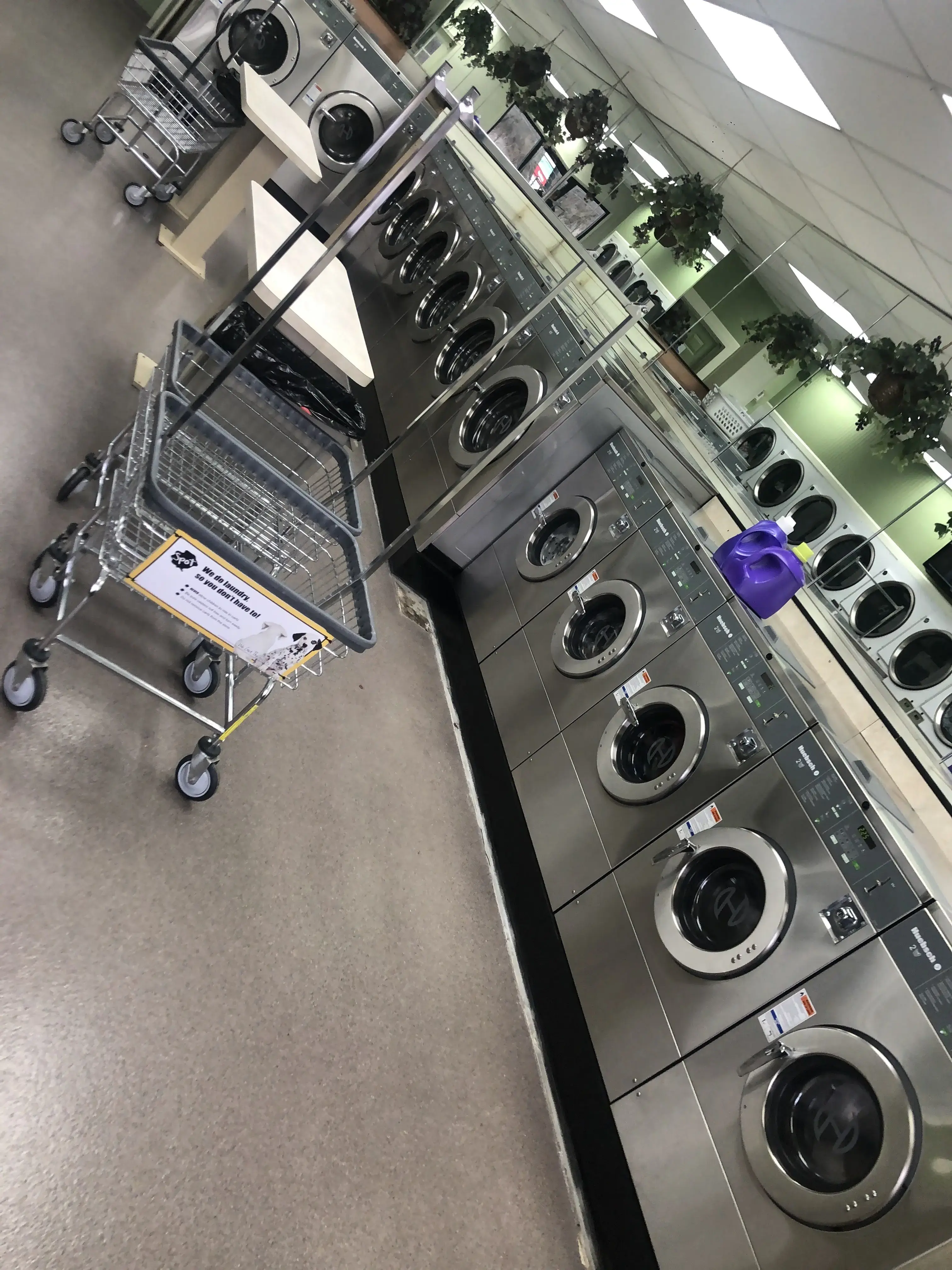 Spot Laundromat - Image 2
