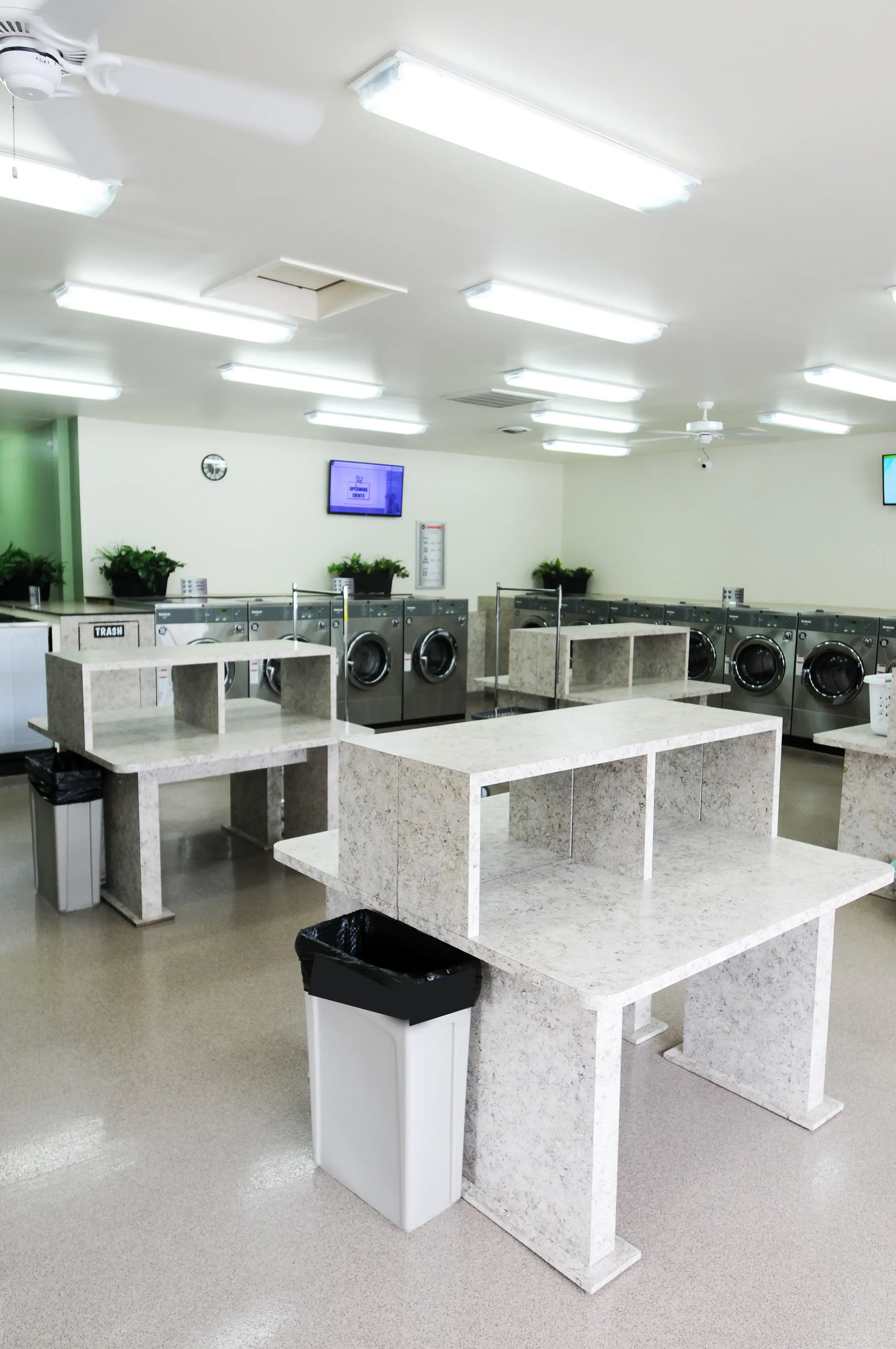Spot Laundromat - Image 13