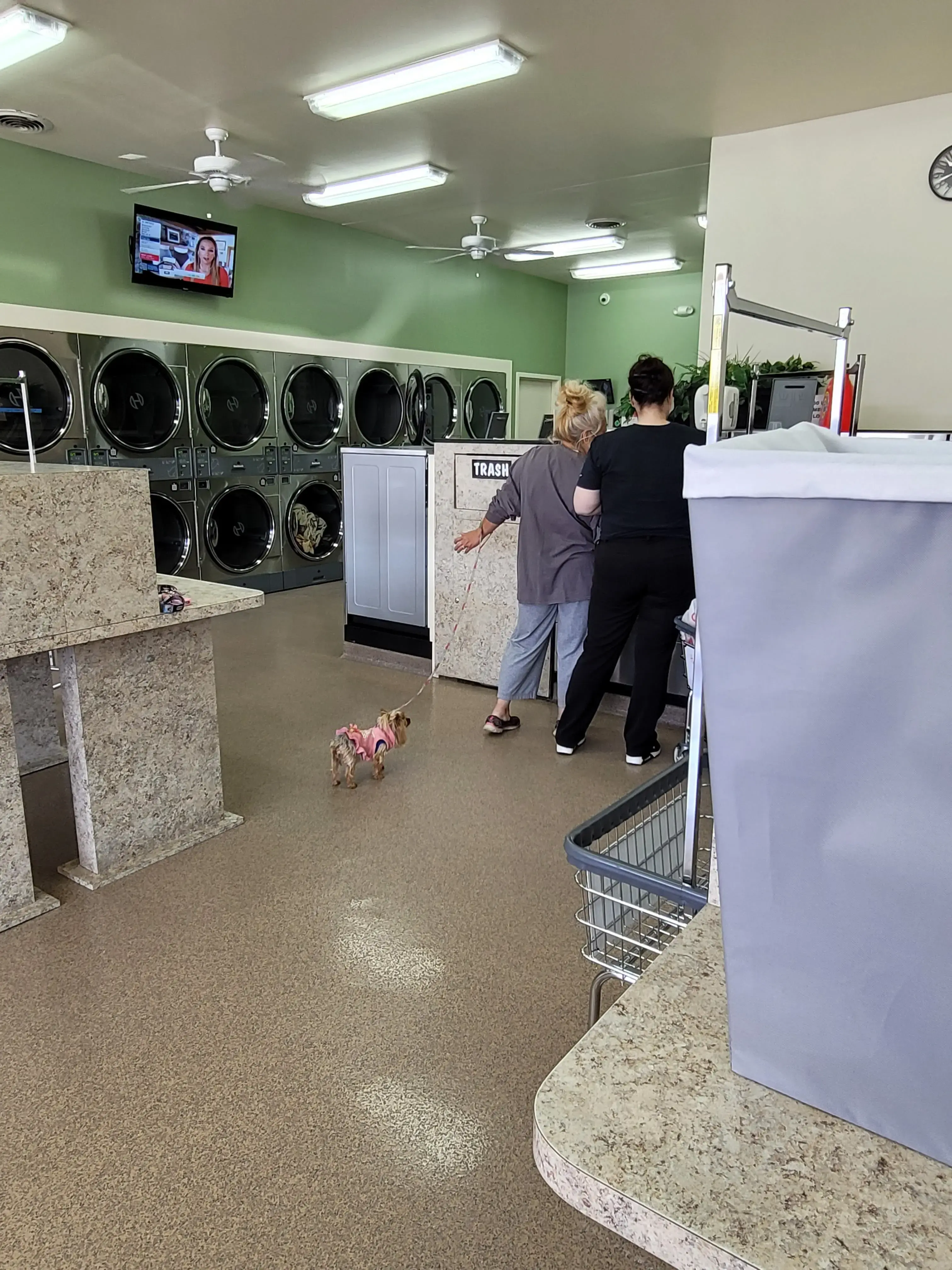 Spot Laundromat thumbnail 19