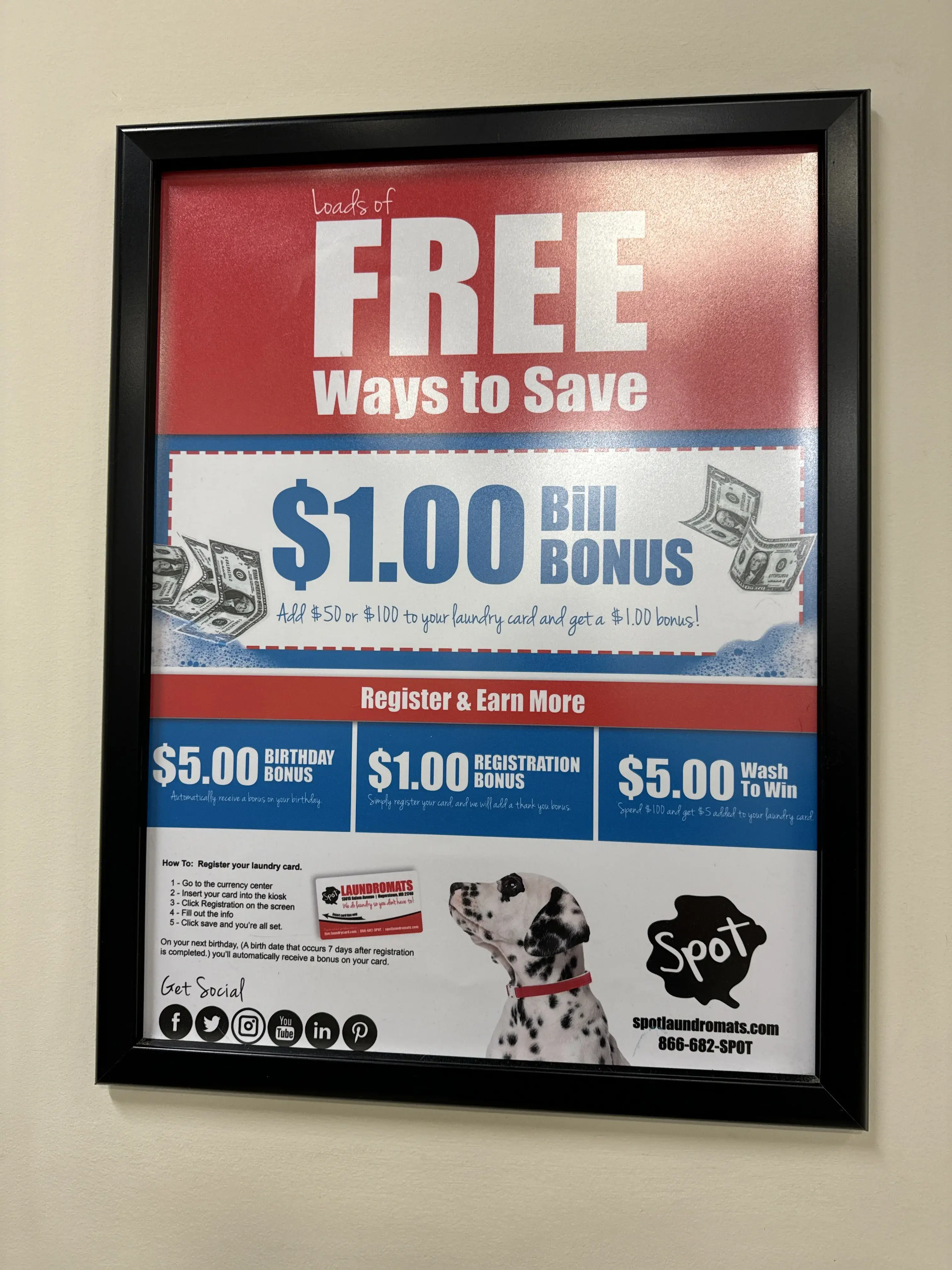 Spot Laundromat - Image 13