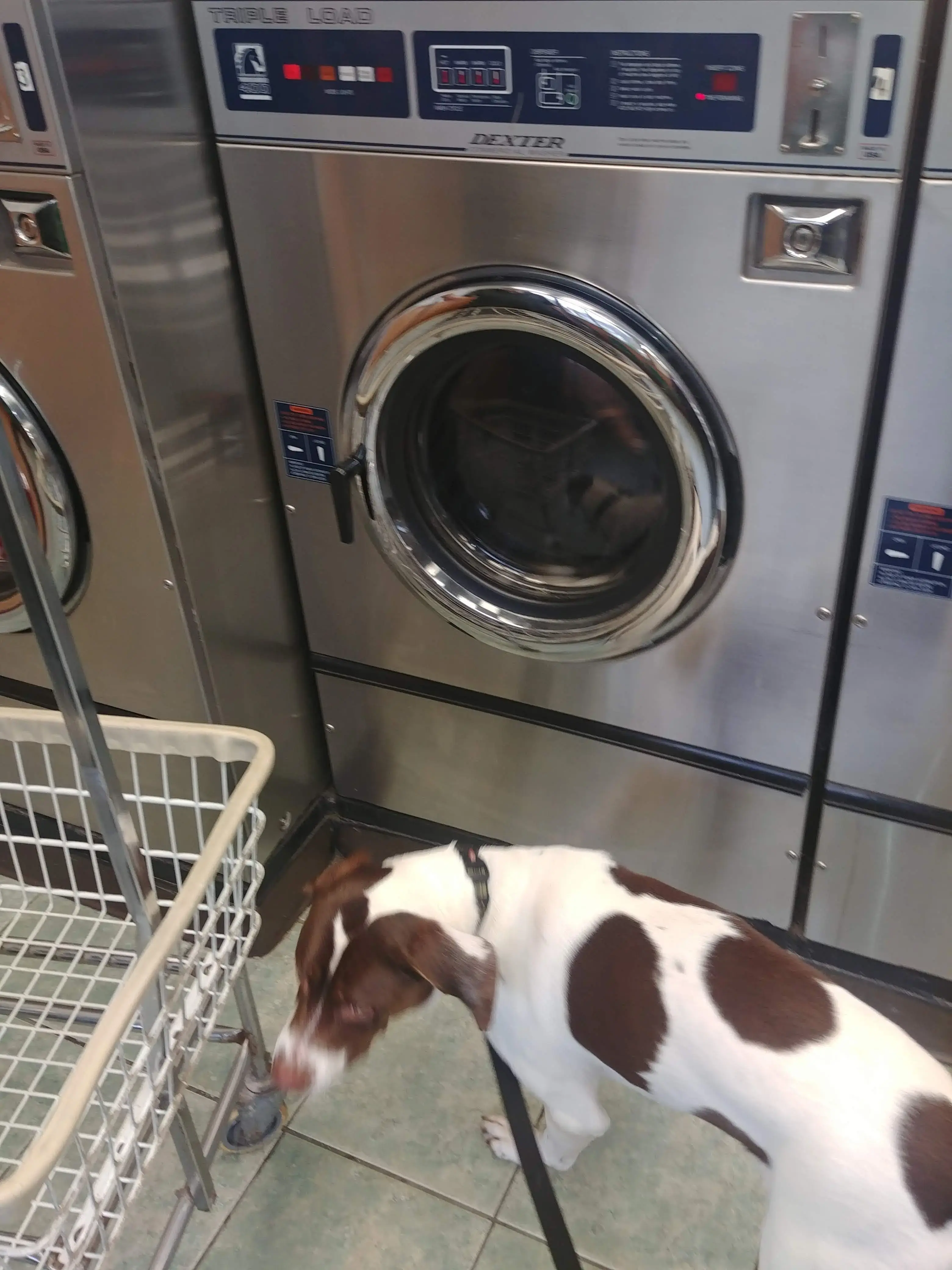 Spots Be Gone Laundromat - Image 8