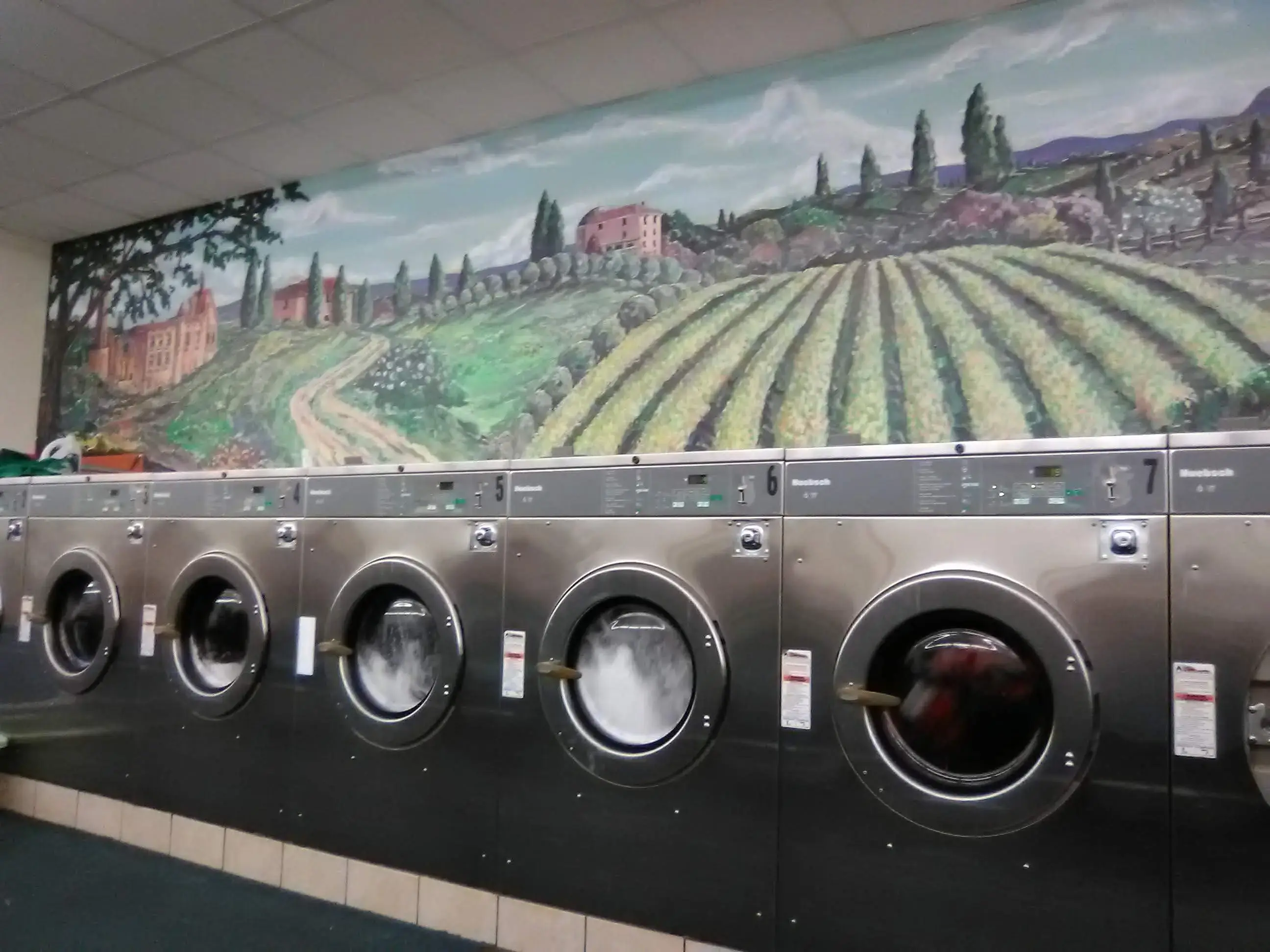 Spring Clean Laundromat thumbnail 4