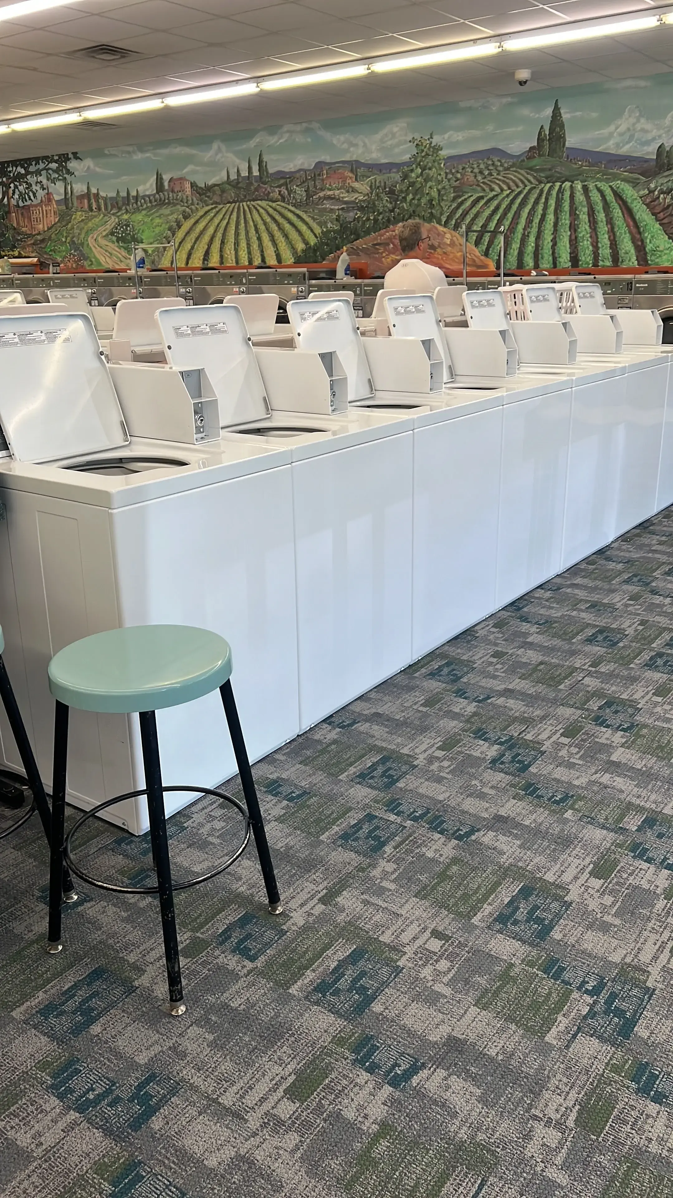 Spring Clean Laundromat - Image 10