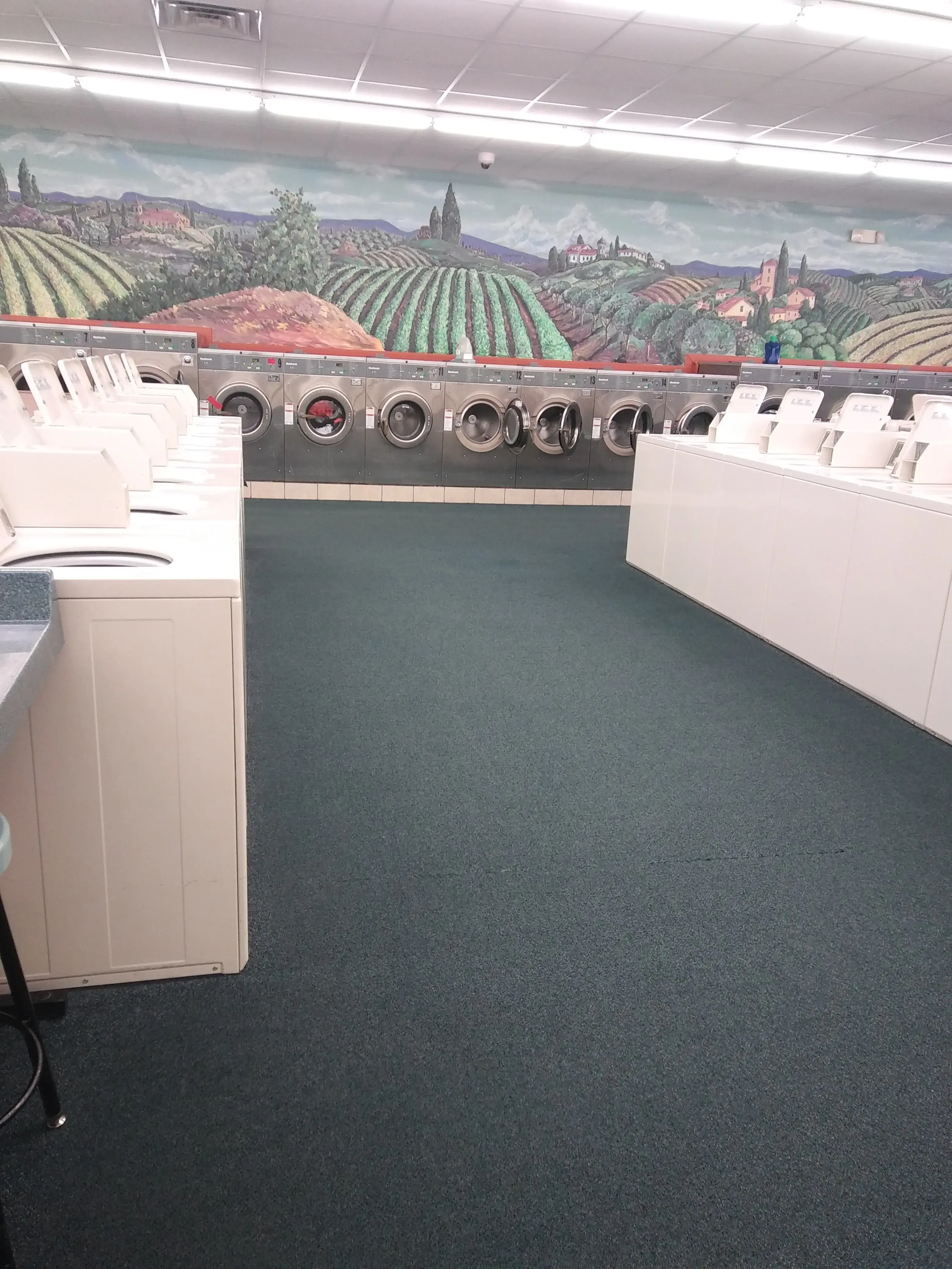 Spring Clean Laundromat - Image 15