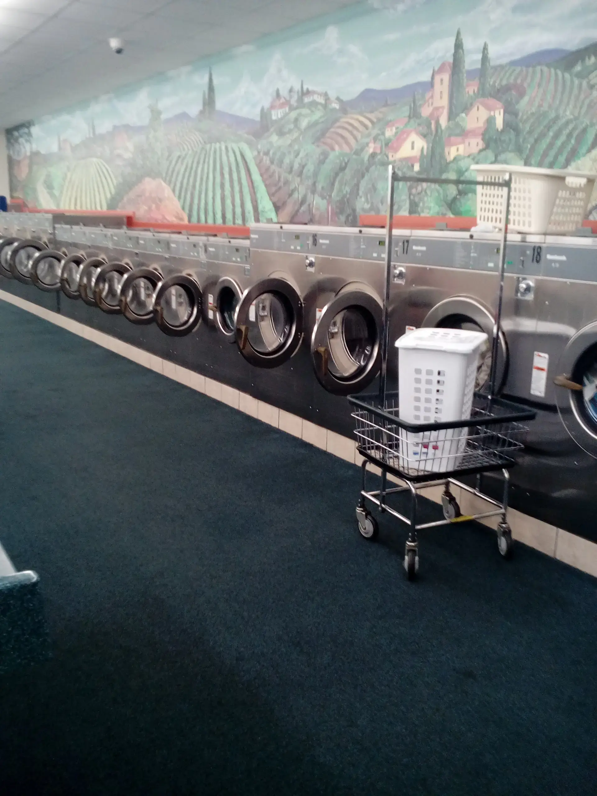 Spring Clean Laundromat - Image 8