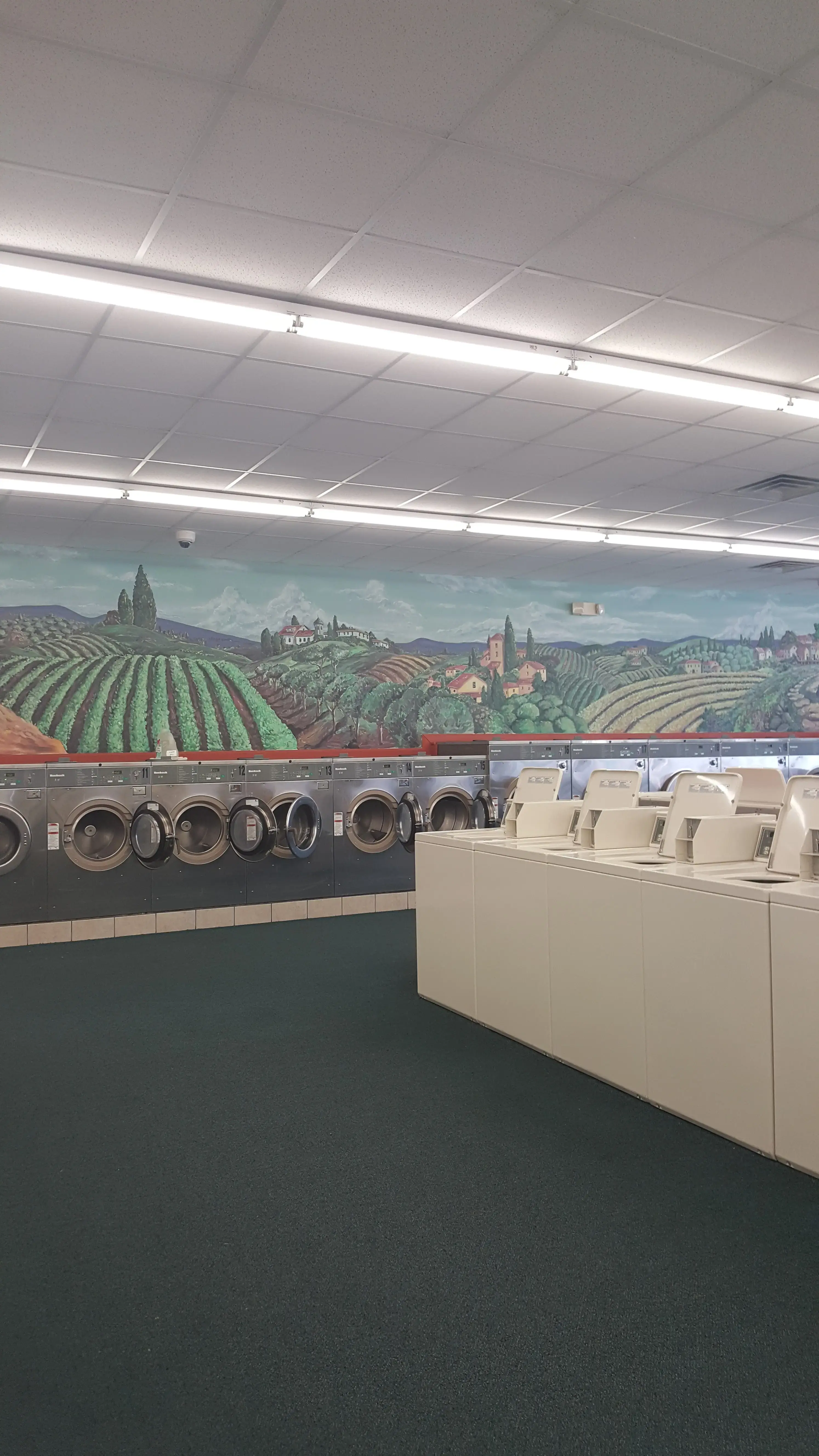 Spring Clean Laundromat thumbnail 17