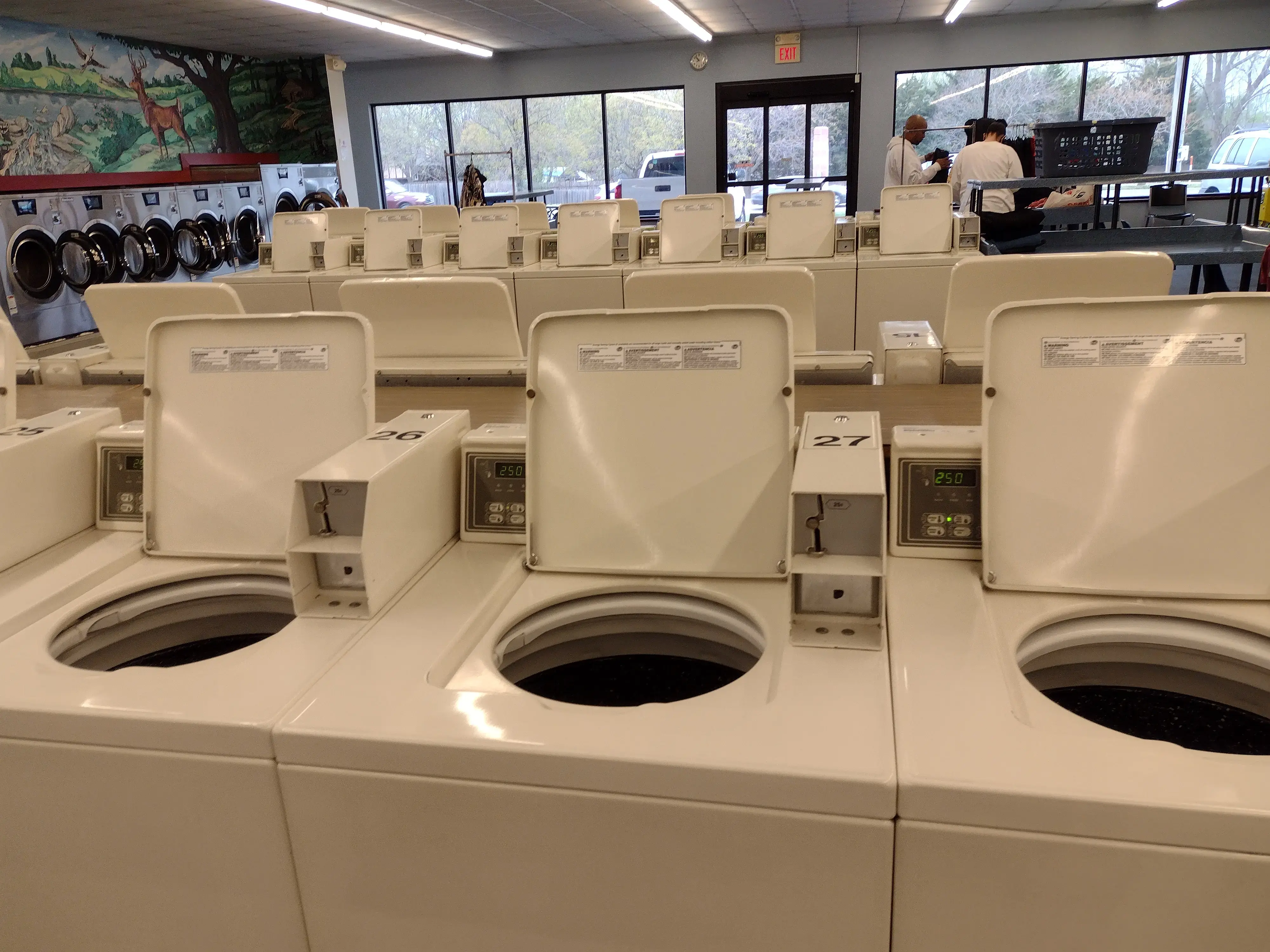 Spring Clean Laundry thumbnail 7