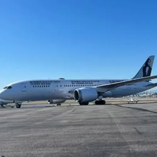 Spring Cleaners thumbnail 11