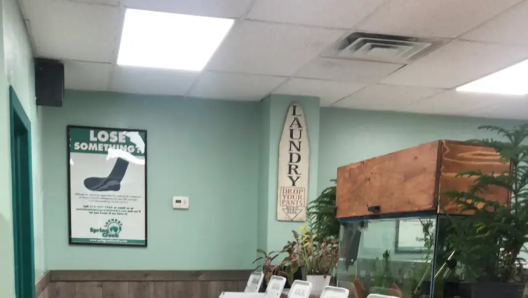 Spring Creek Laundry thumbnail 12