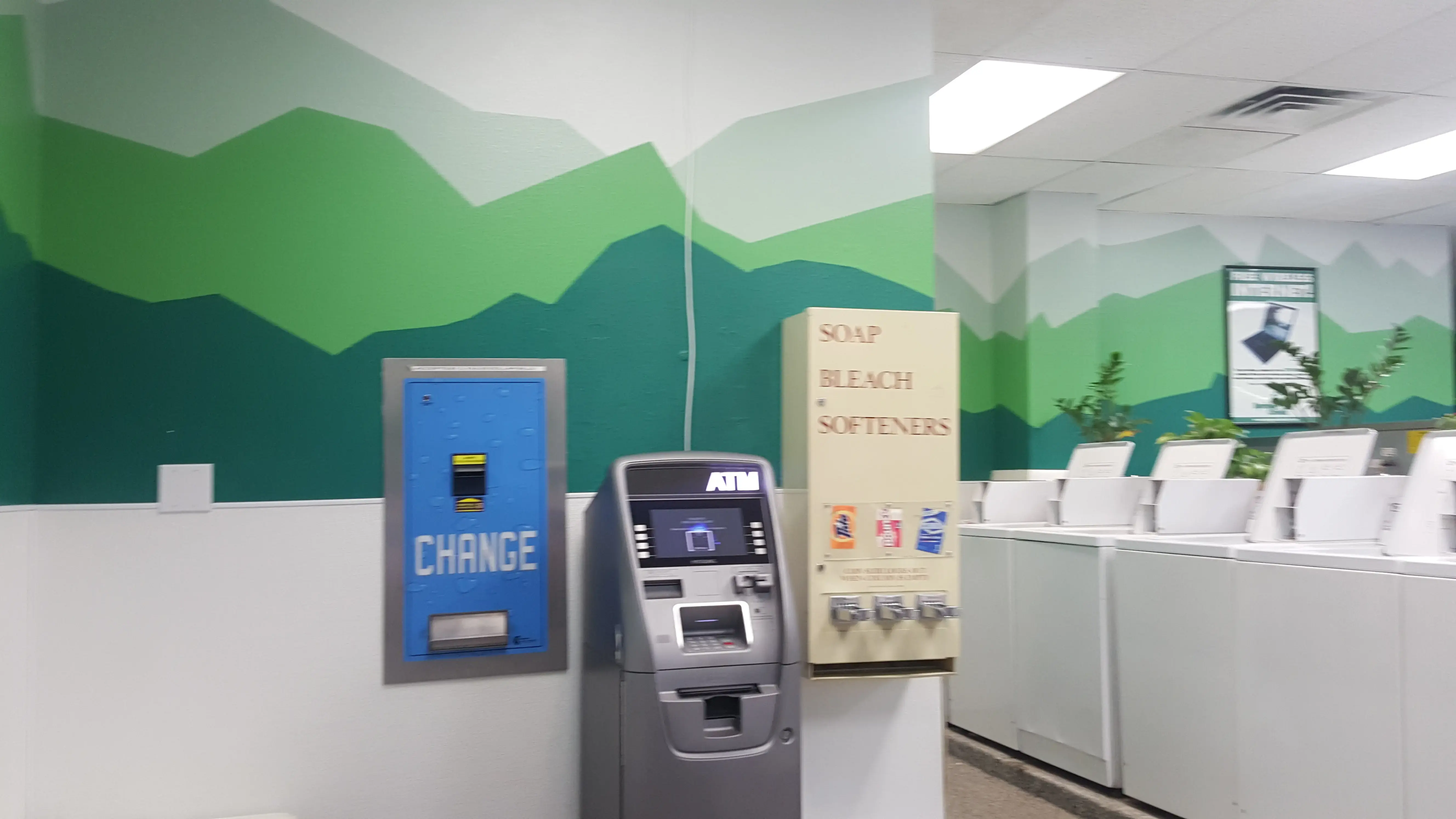 Spring Creek Laundry - Image 7