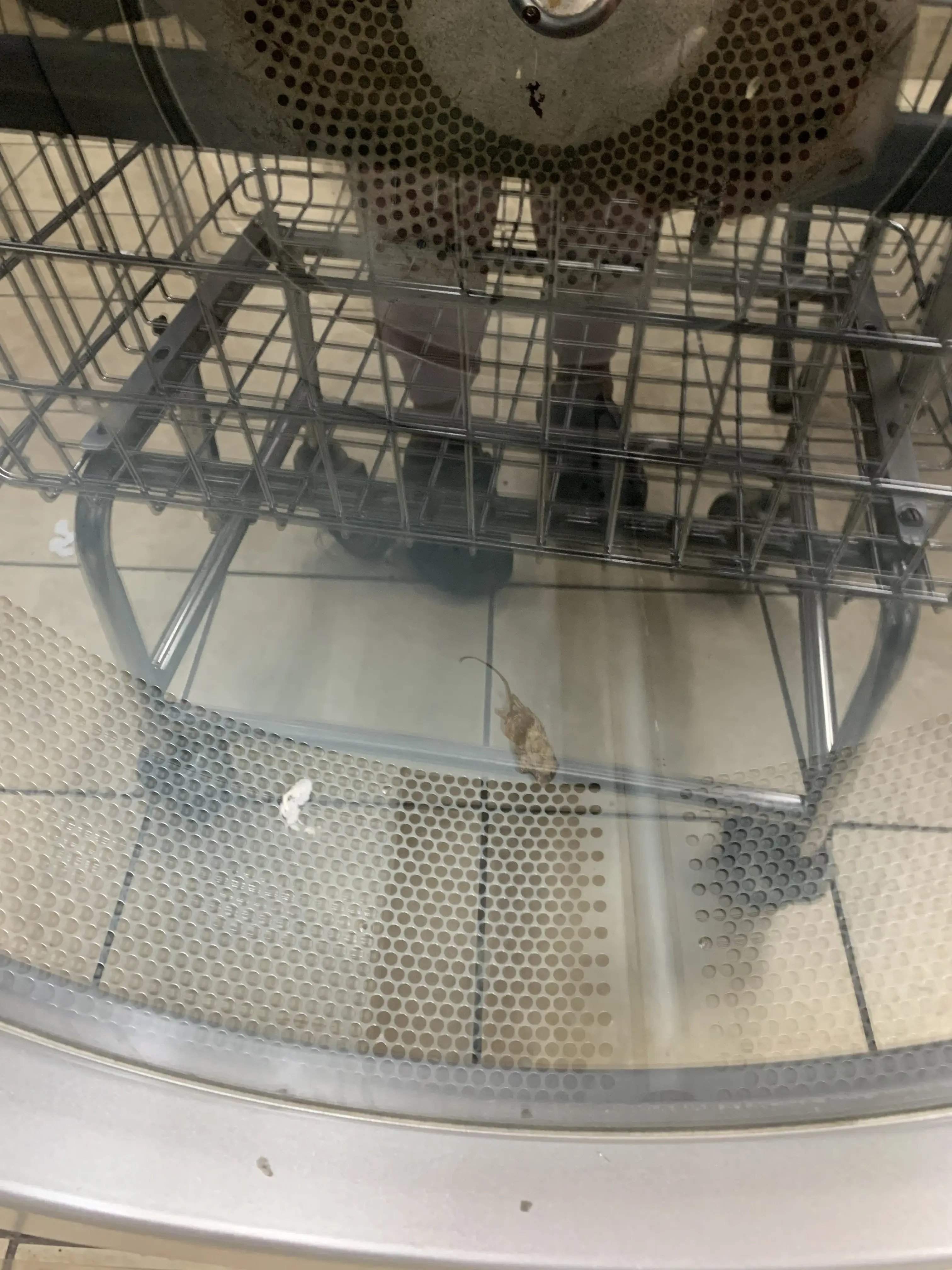 Spring Valley Family Laundromat - Image 3