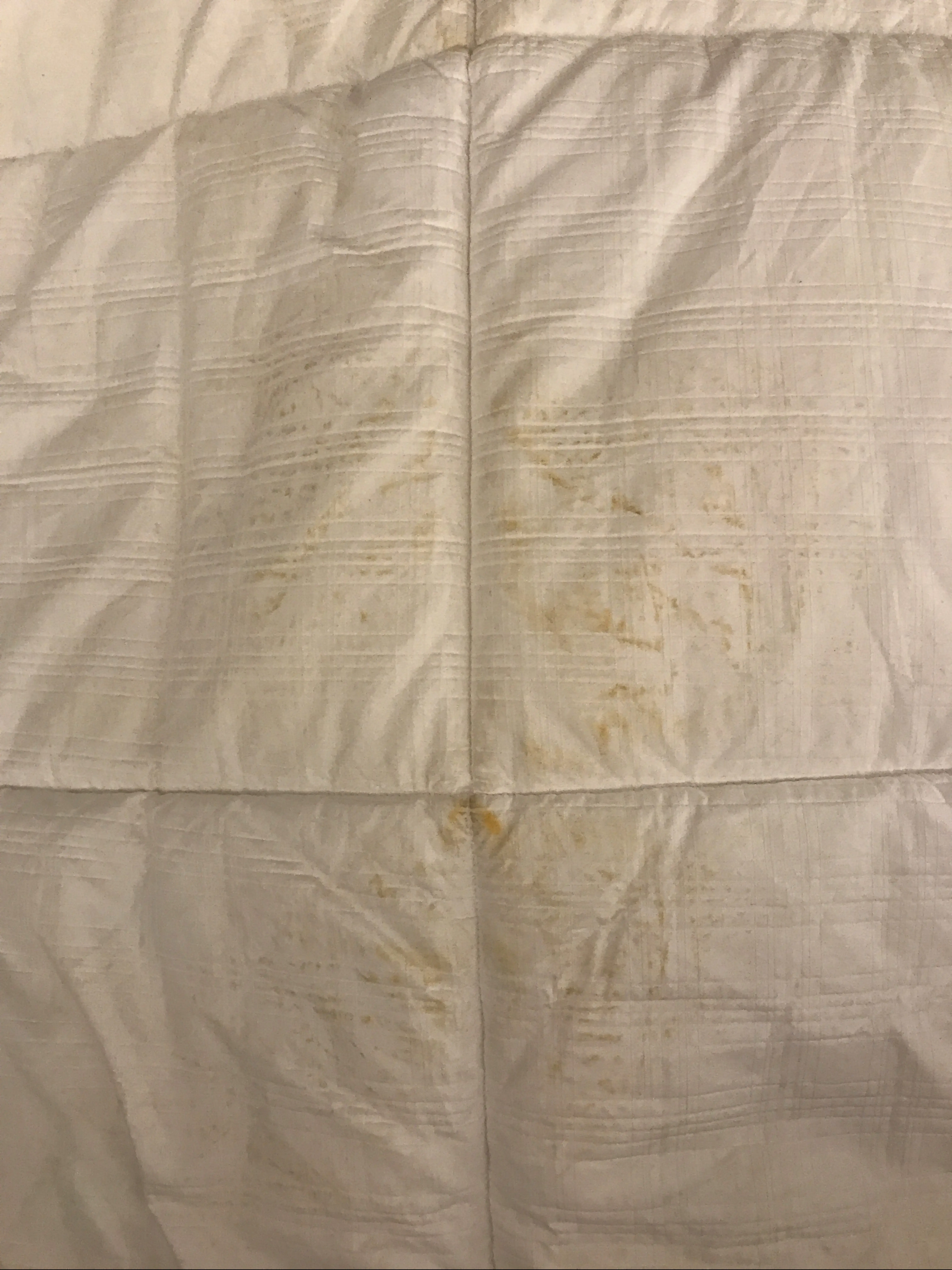 Springdale Cleaners-Tri-County thumbnail 4