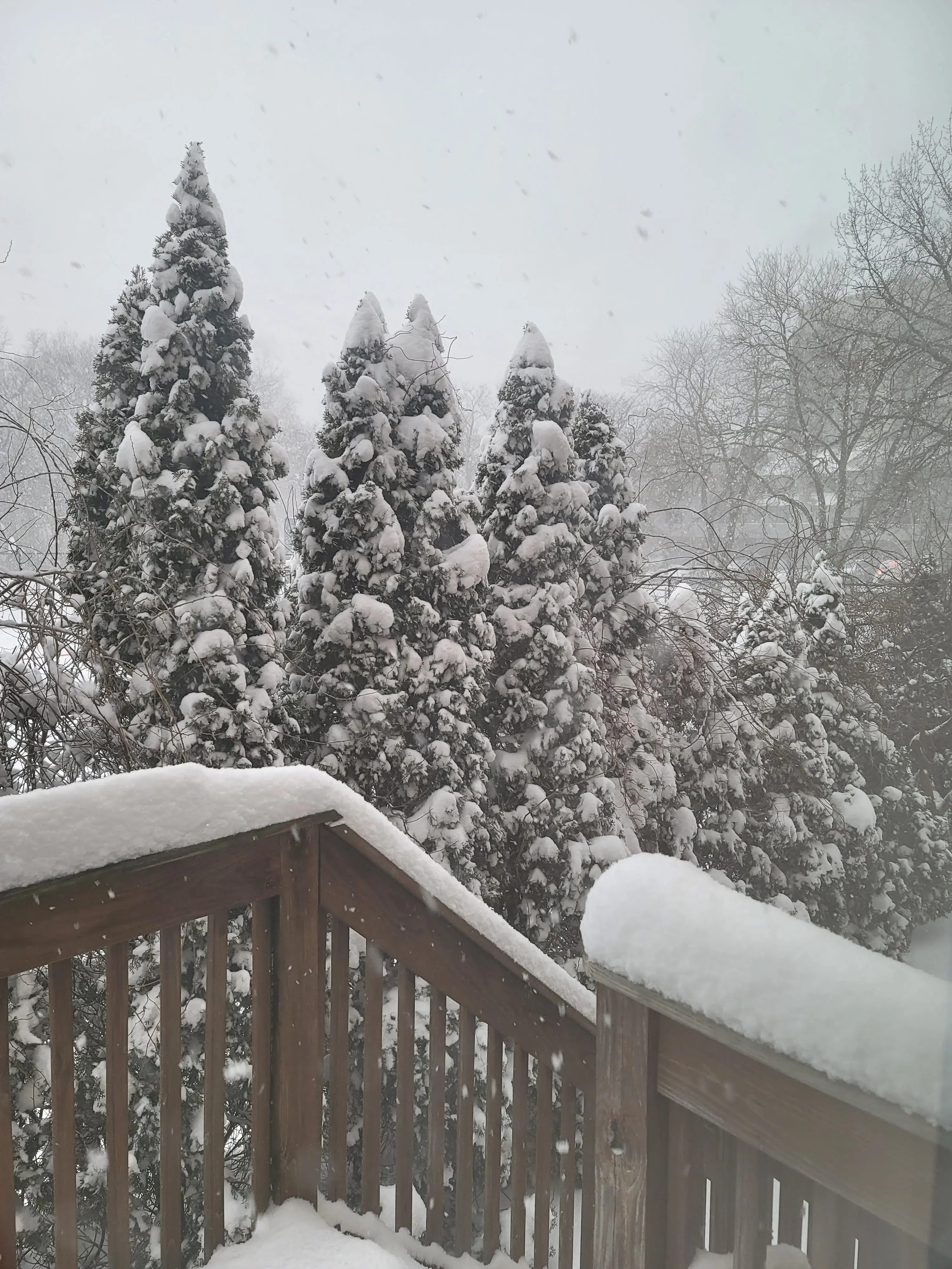 Springdale Laundromat - Image 10