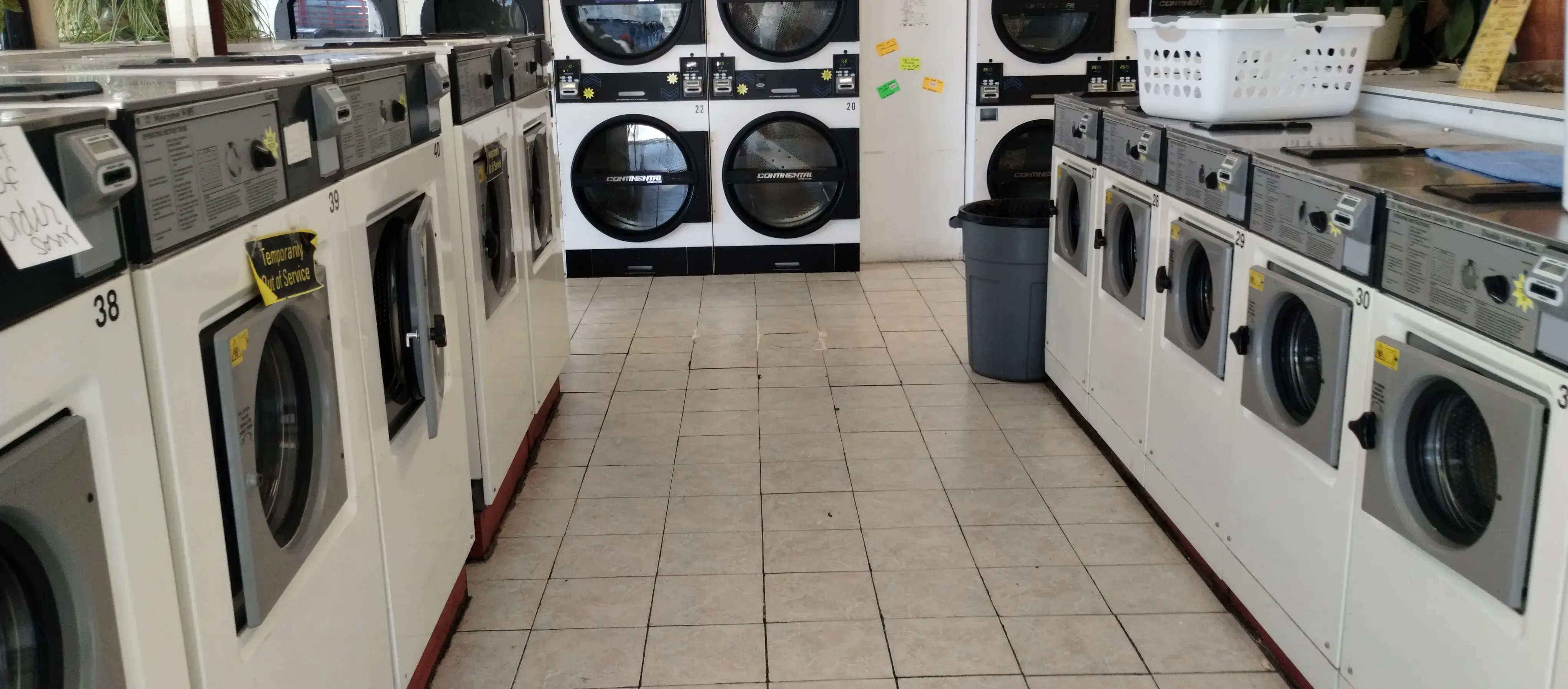 Springfield Family Best Value Laundry - Image 2