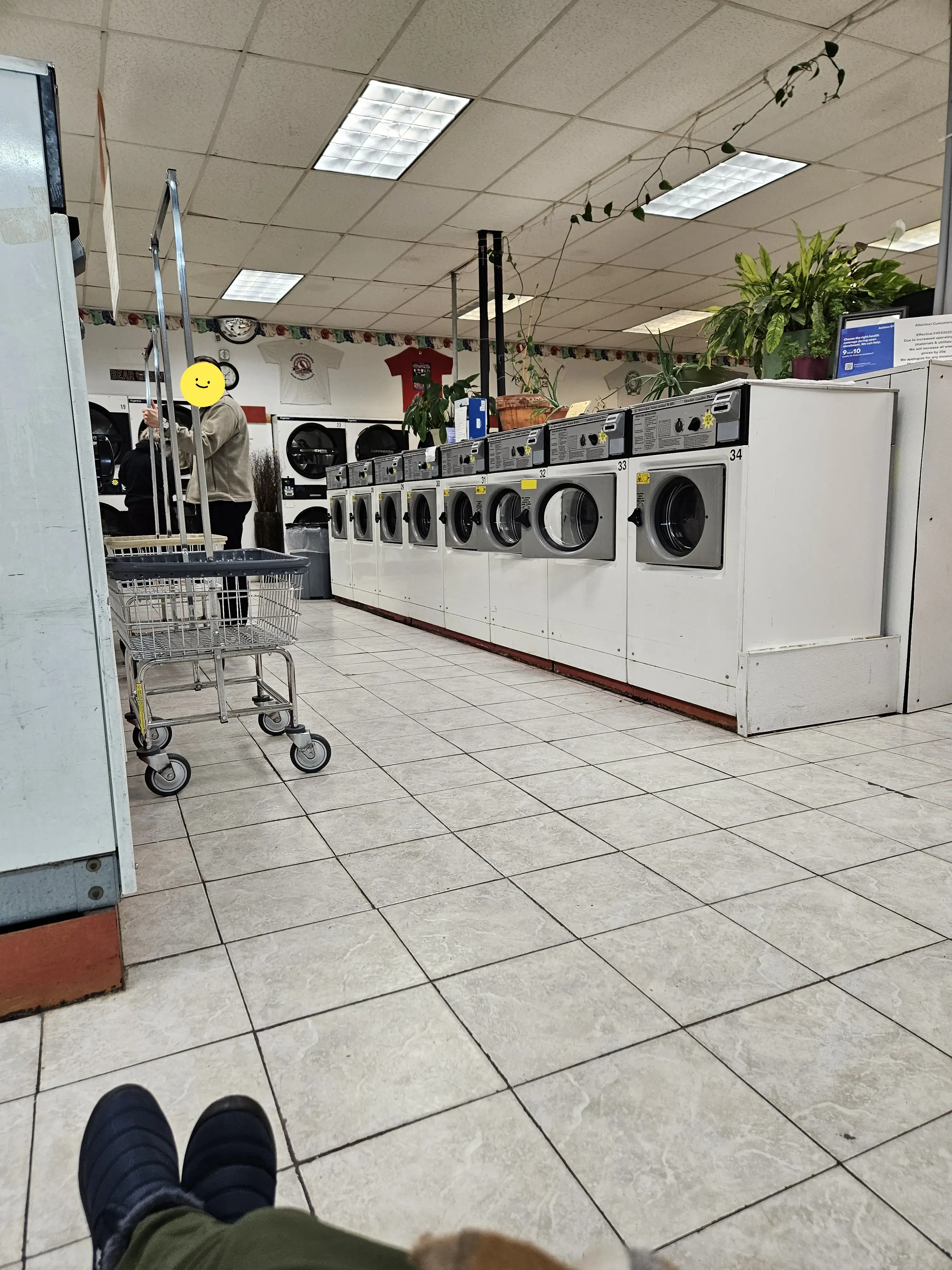 Springfield Family Best Value Laundry - Image 6