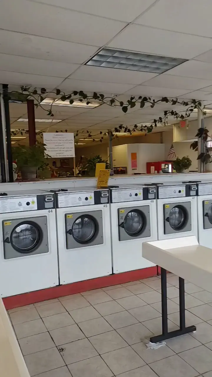 Springfield Family Best Value Laundry thumbnail 10