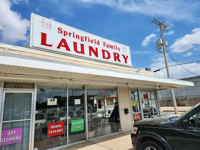 Springfield Family Best Value Laundry thumbnail 1