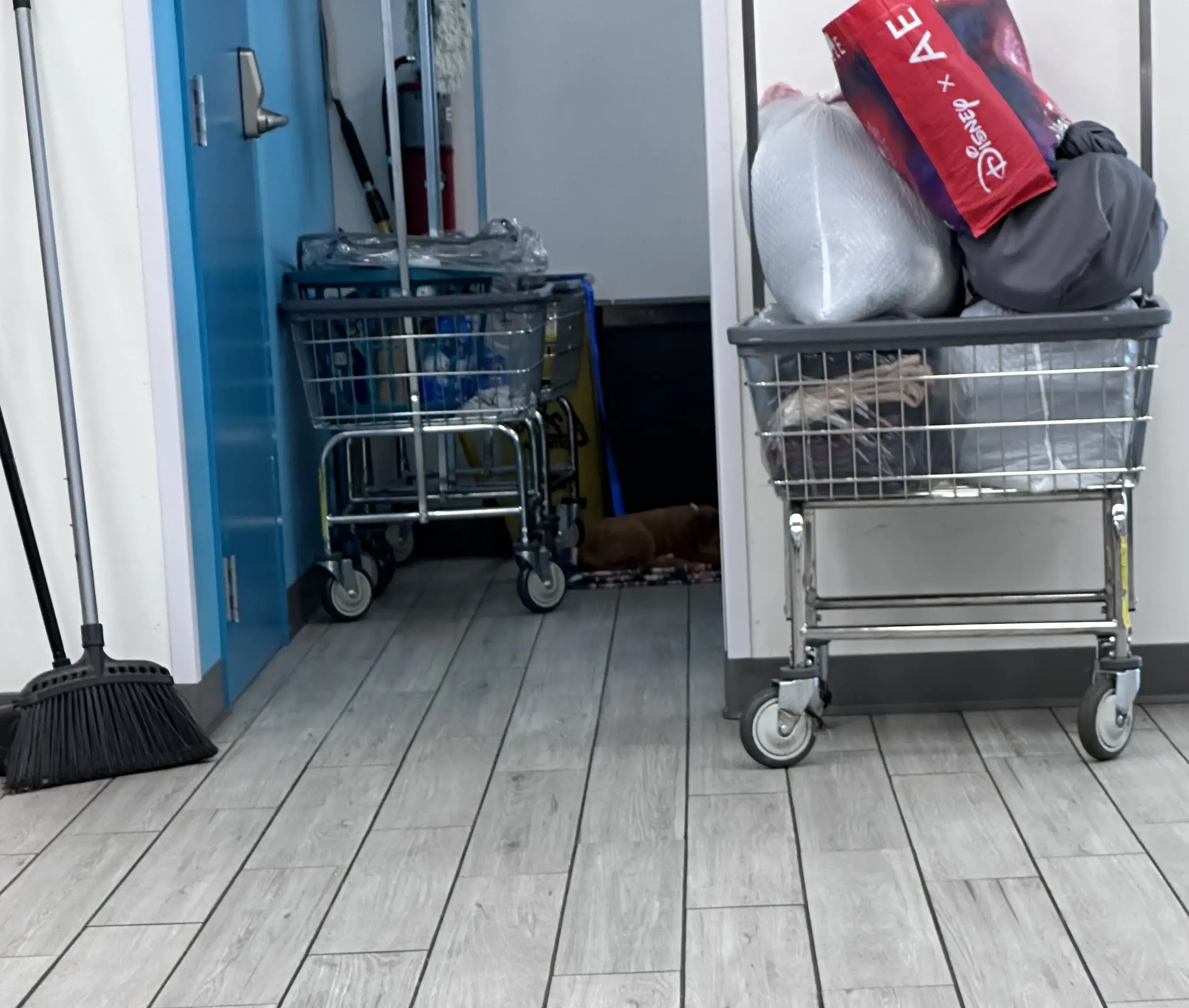 Spritzy Laundromat thumbnail 16